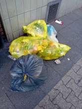 Open311 file from 2025-07-10 14:26:57