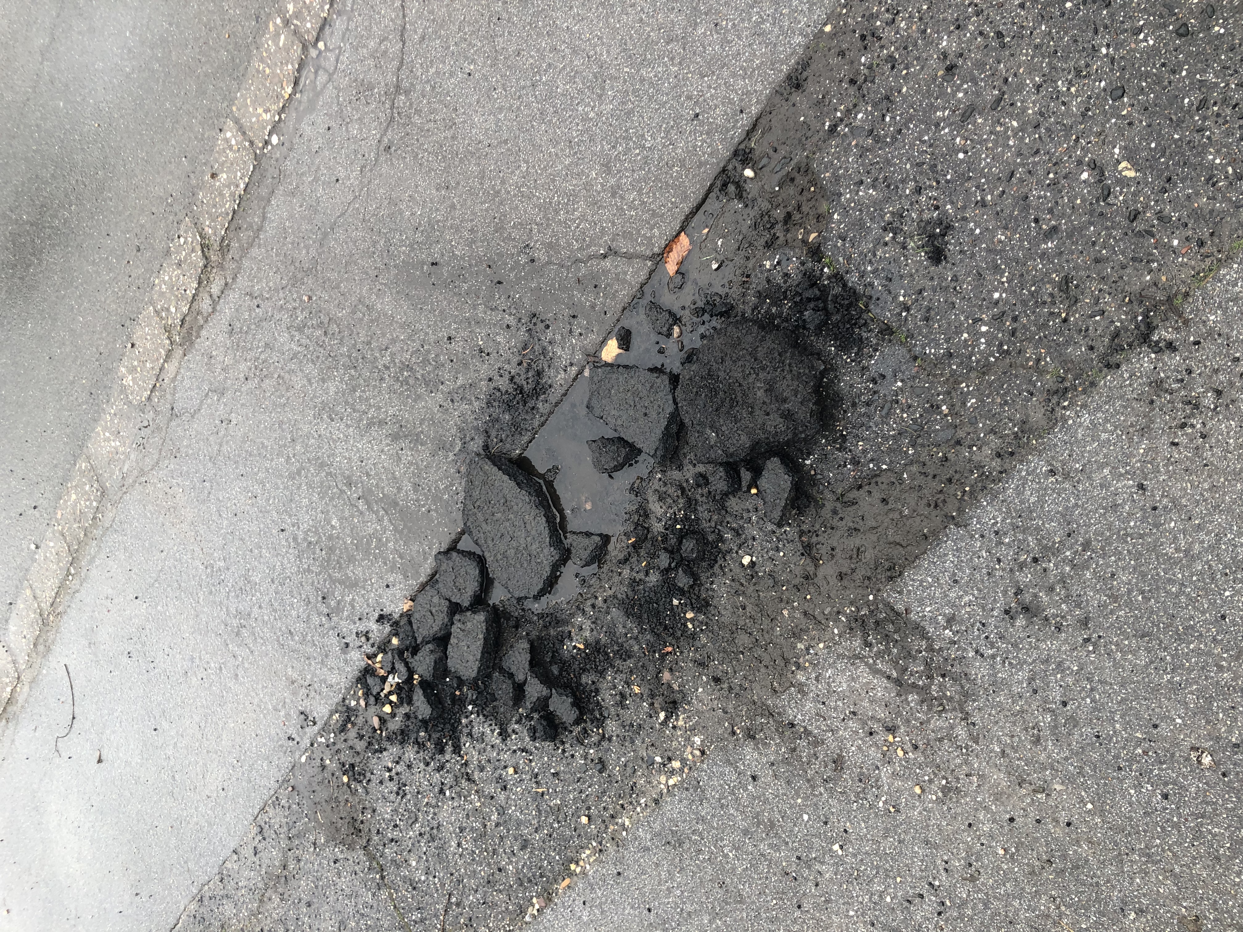 Open311 file from 2023-03-14 10:49:43