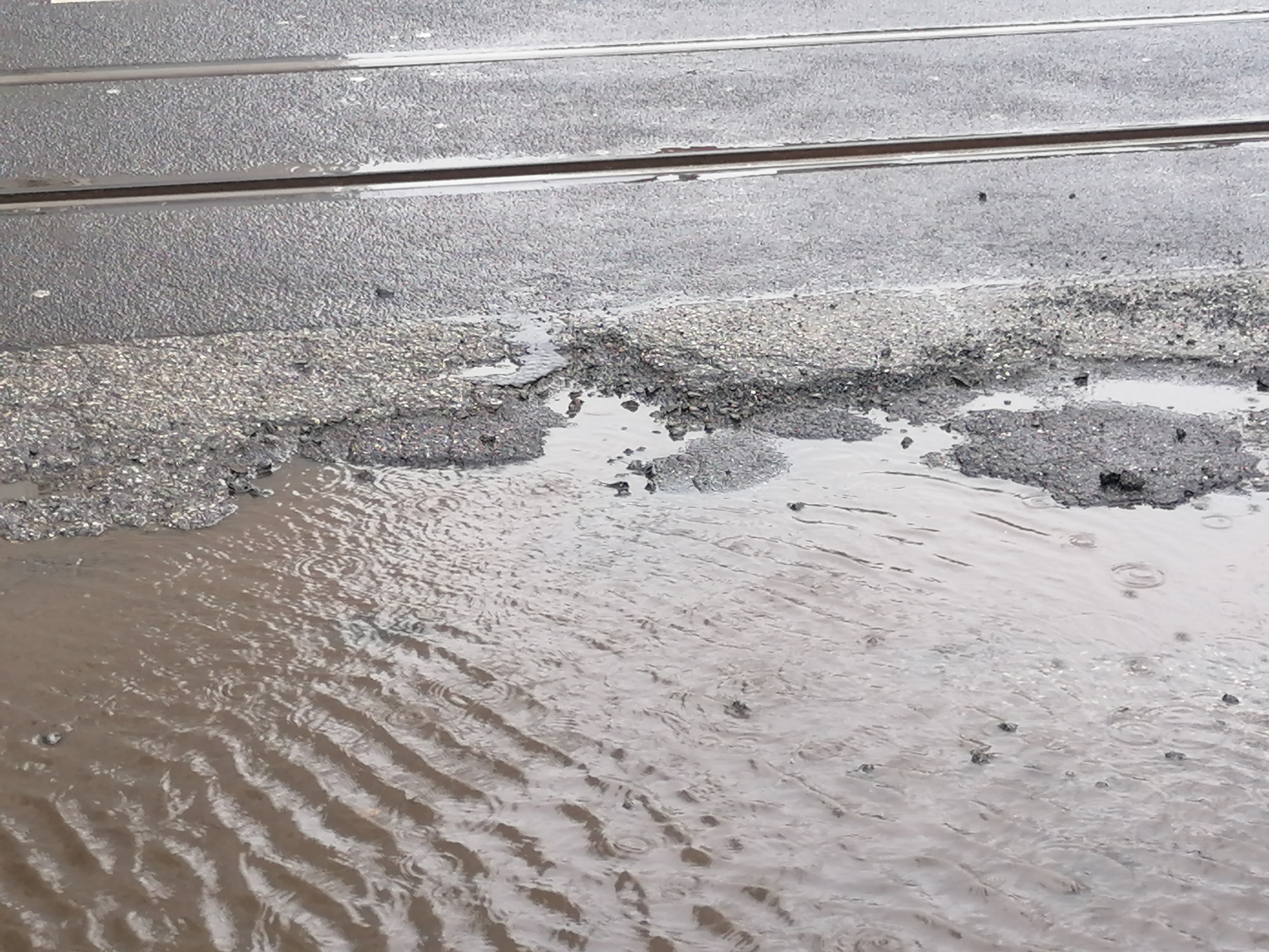 Open311 file from 2023-03-12 08:04:48