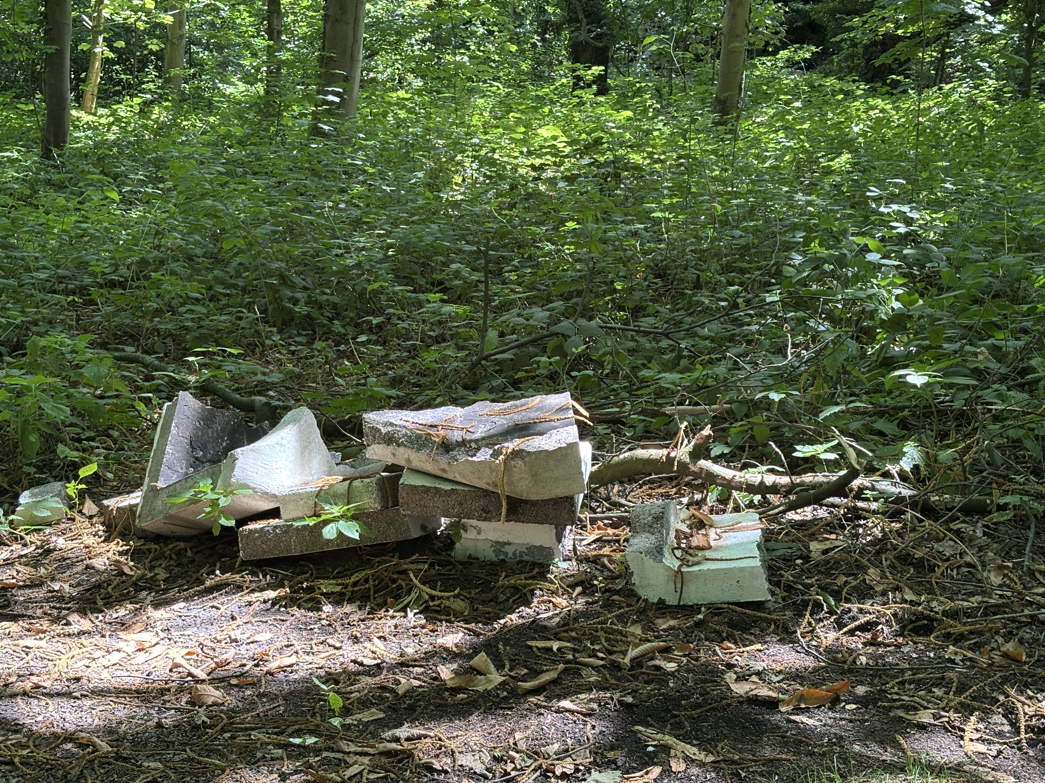 Open311 file from 2025-07-04 13:54:20