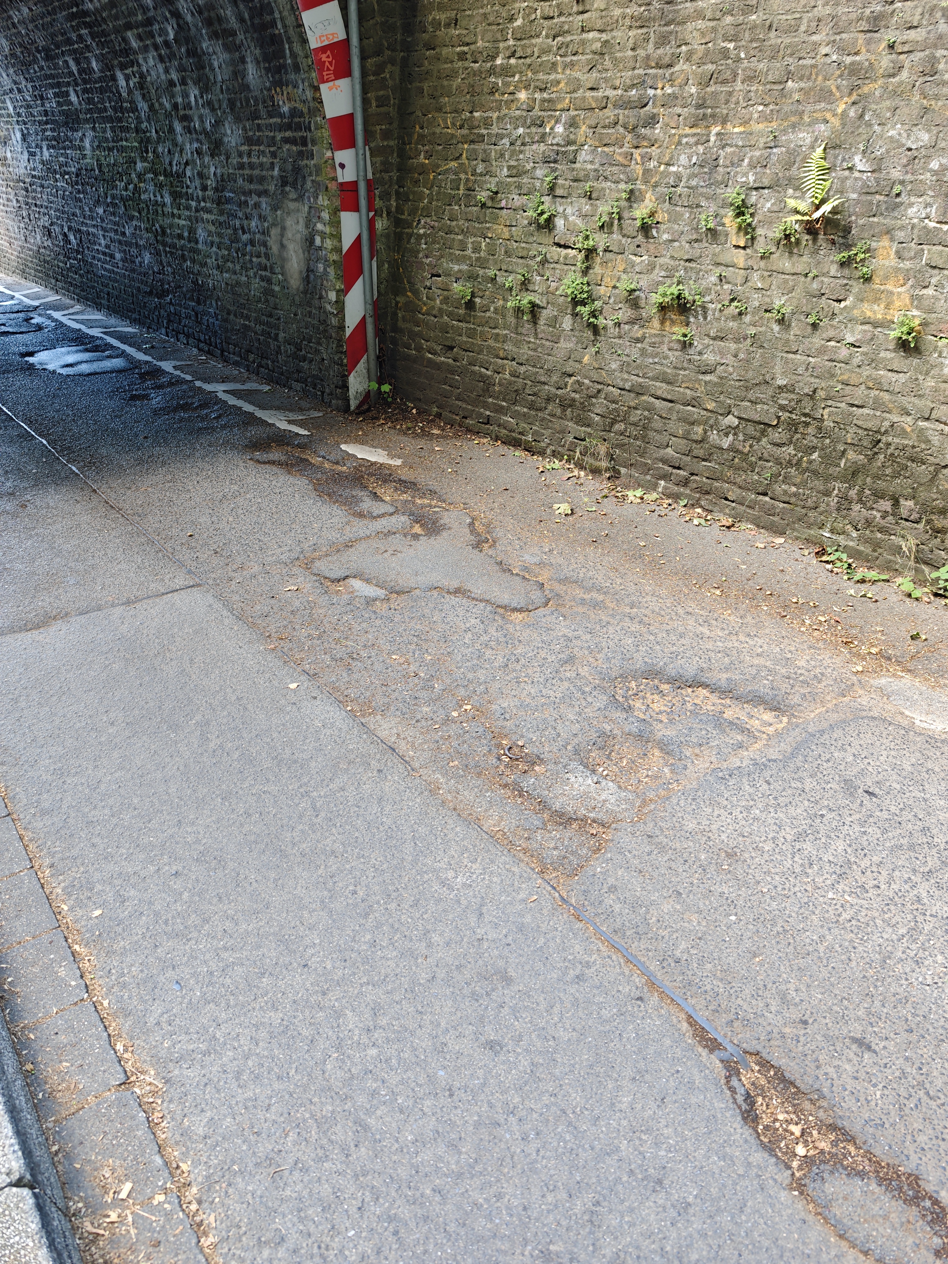 Open311 file from 2025-09-05 14:17:14