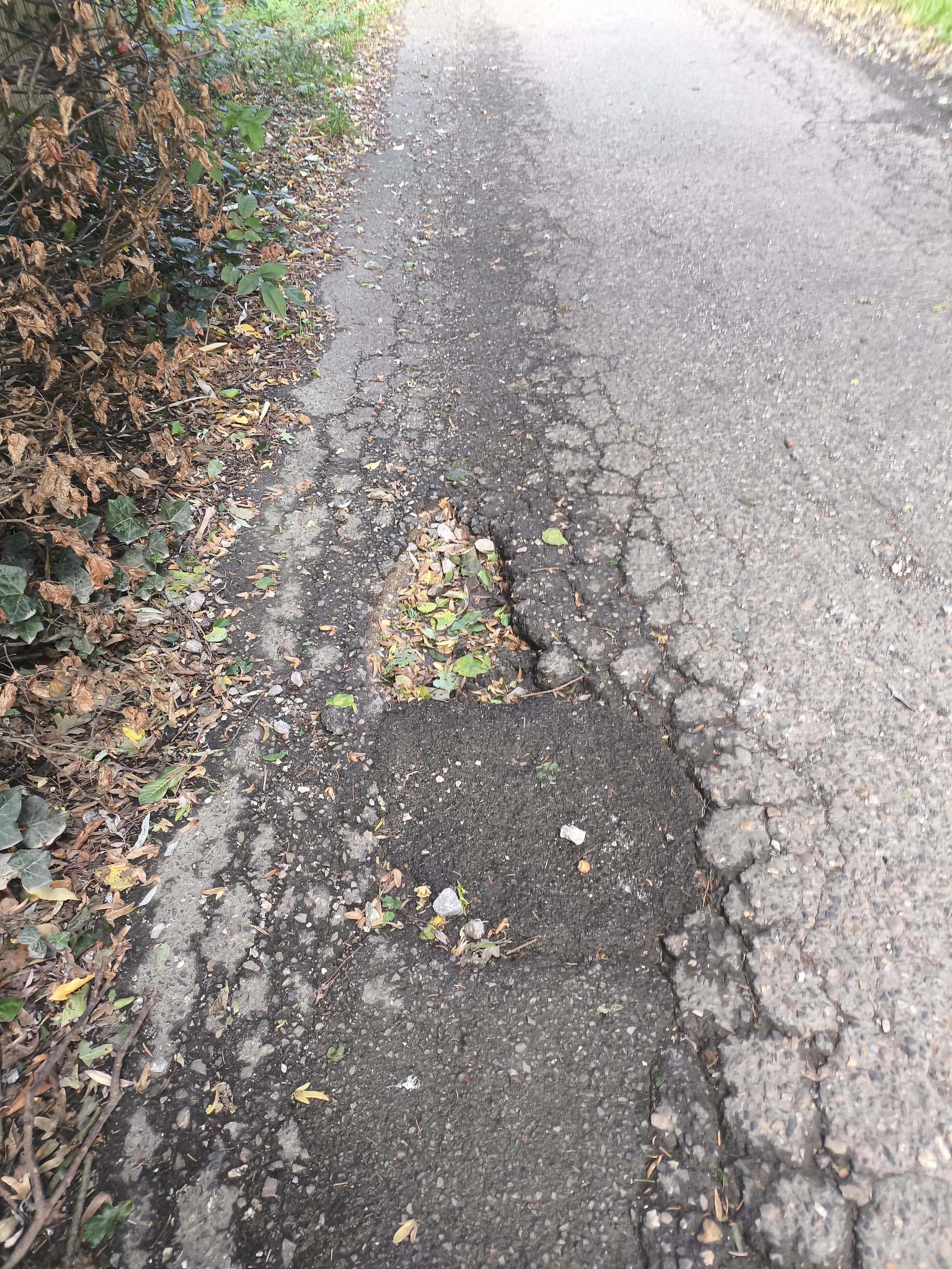 Open311 file from 2025-09-16 09:21:06