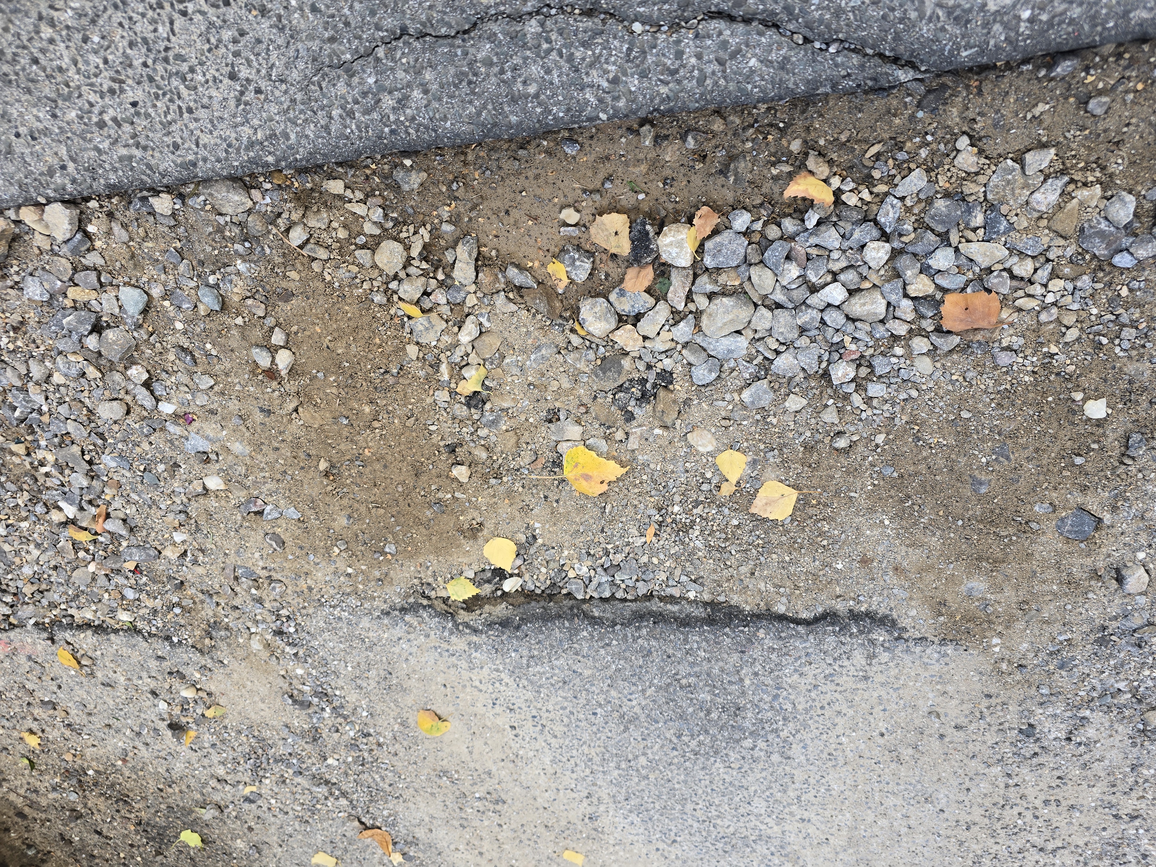 Open311 file from 2025-09-11 10:26:34