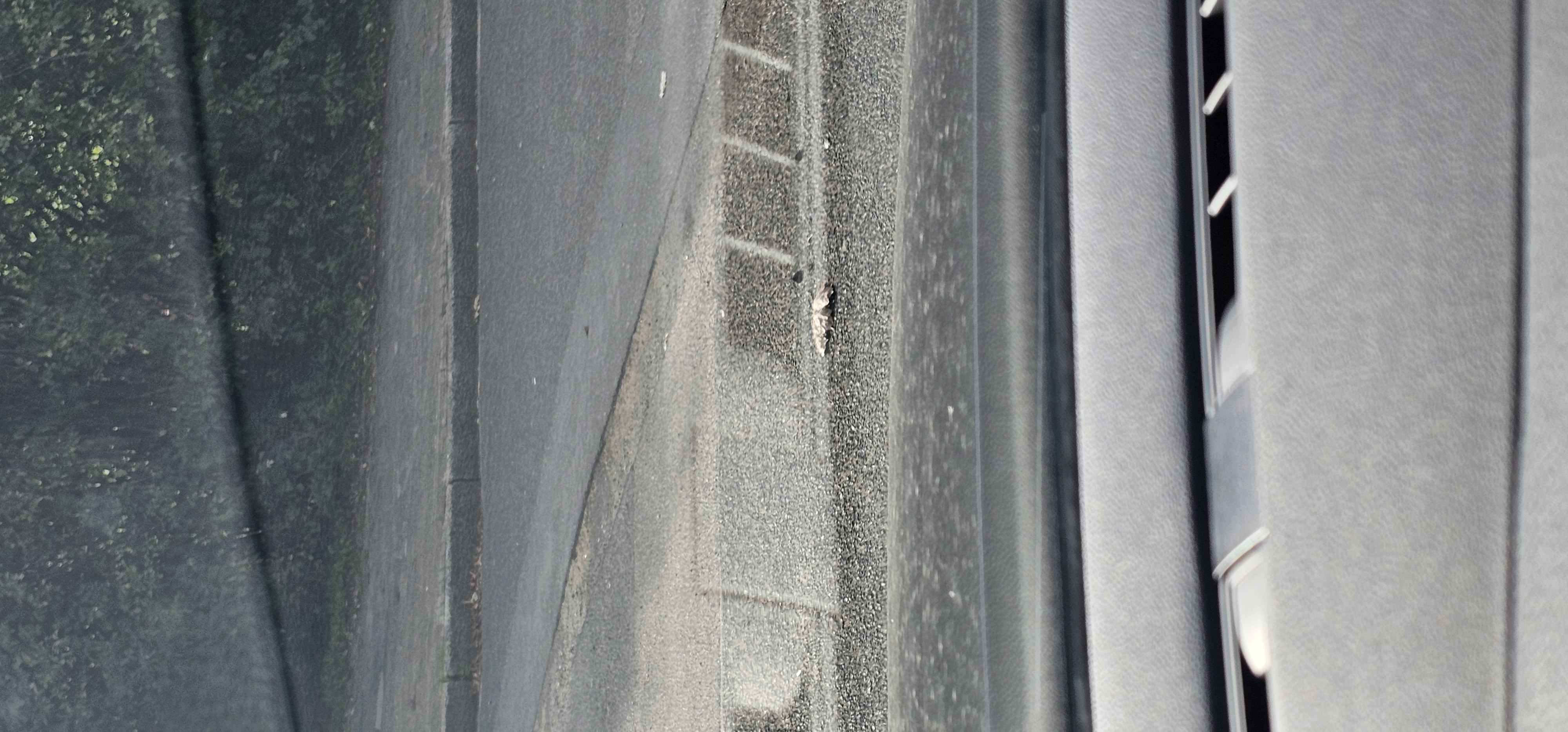 Open311 file from 2025-09-23 16:13:23