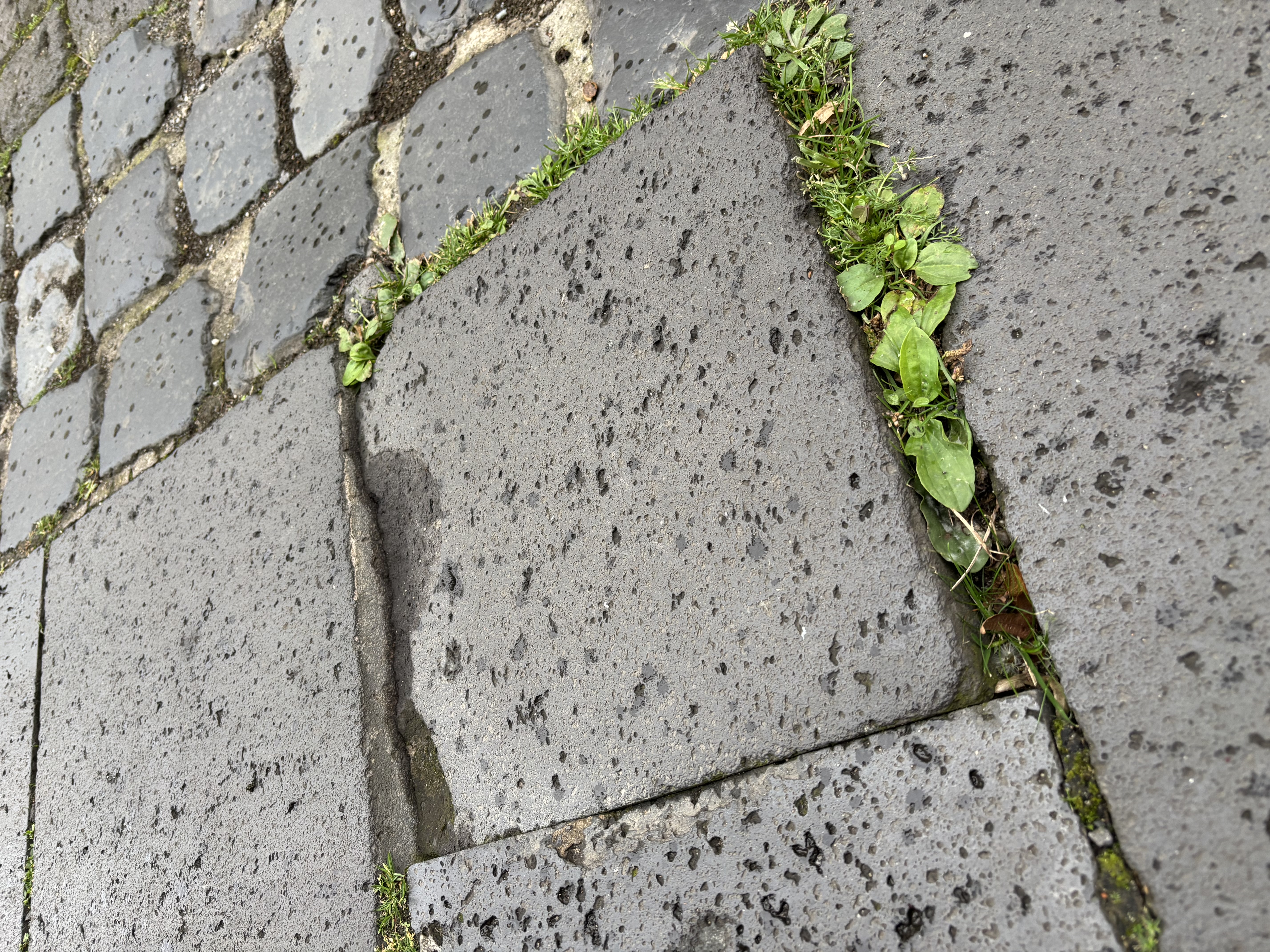 Open311 file from 2025-09-25 09:41:23