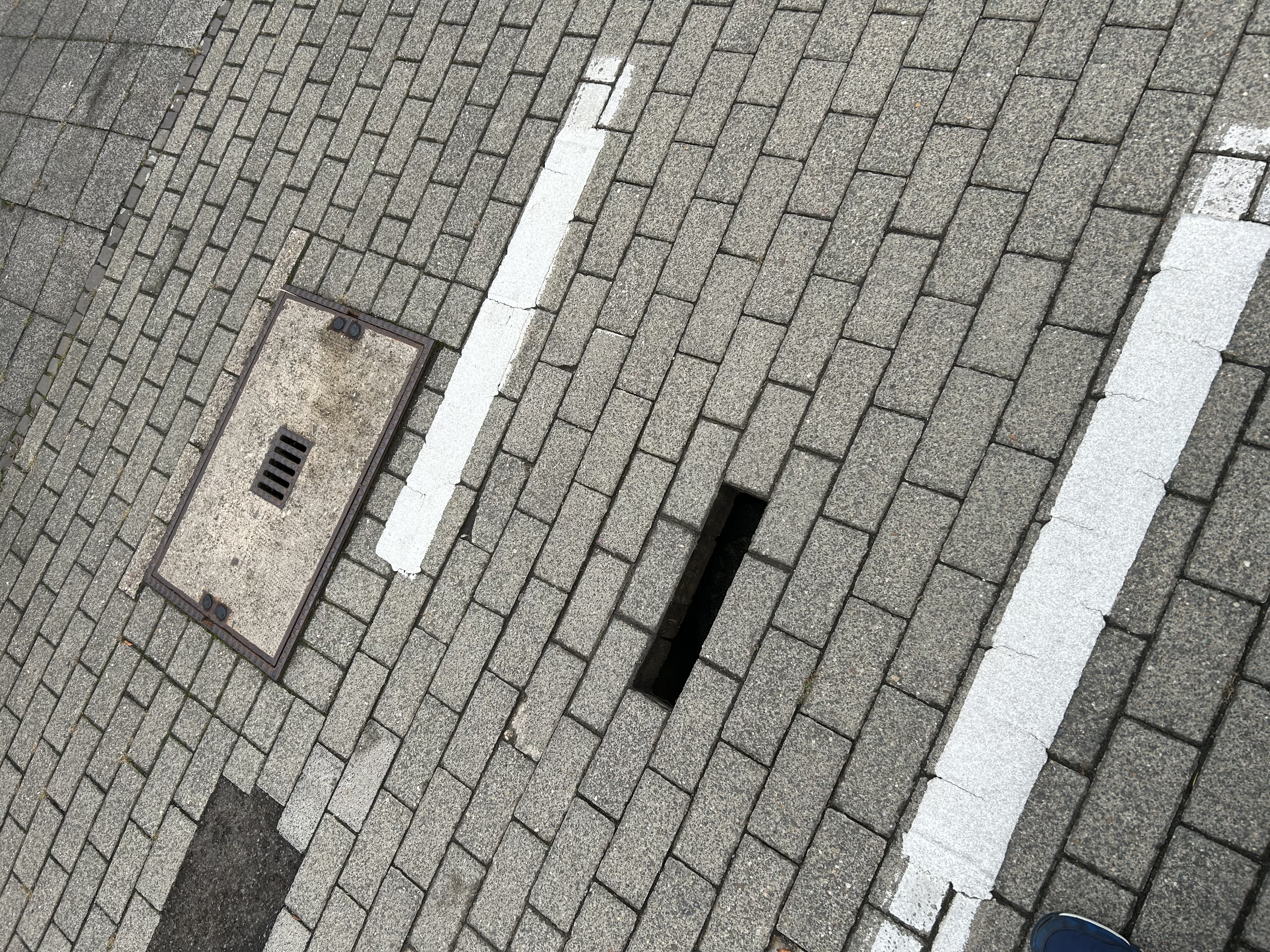 Open311 file from 2025-09-26 09:34:53