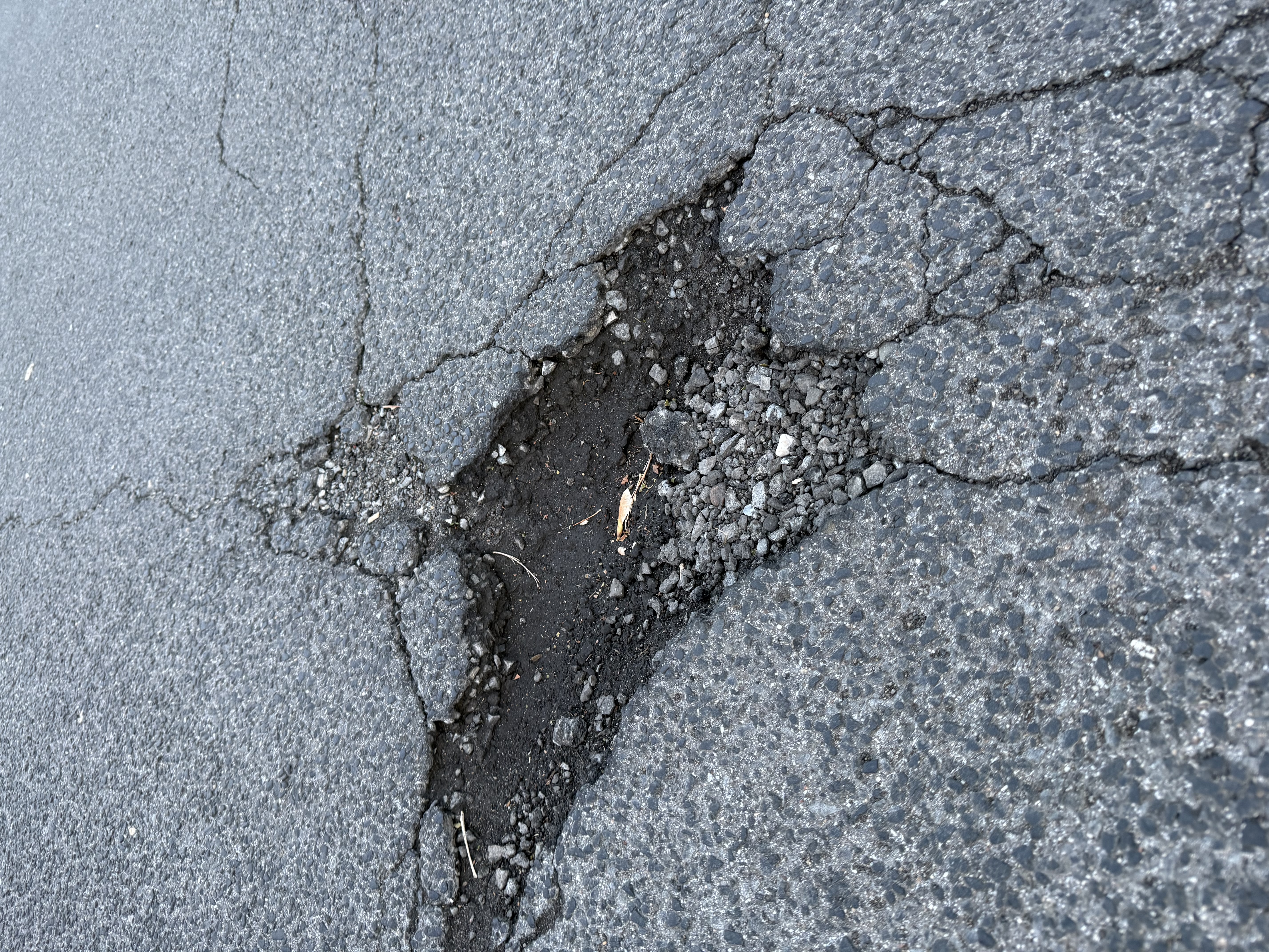 Open311 file from 2025-09-20 14:21:12