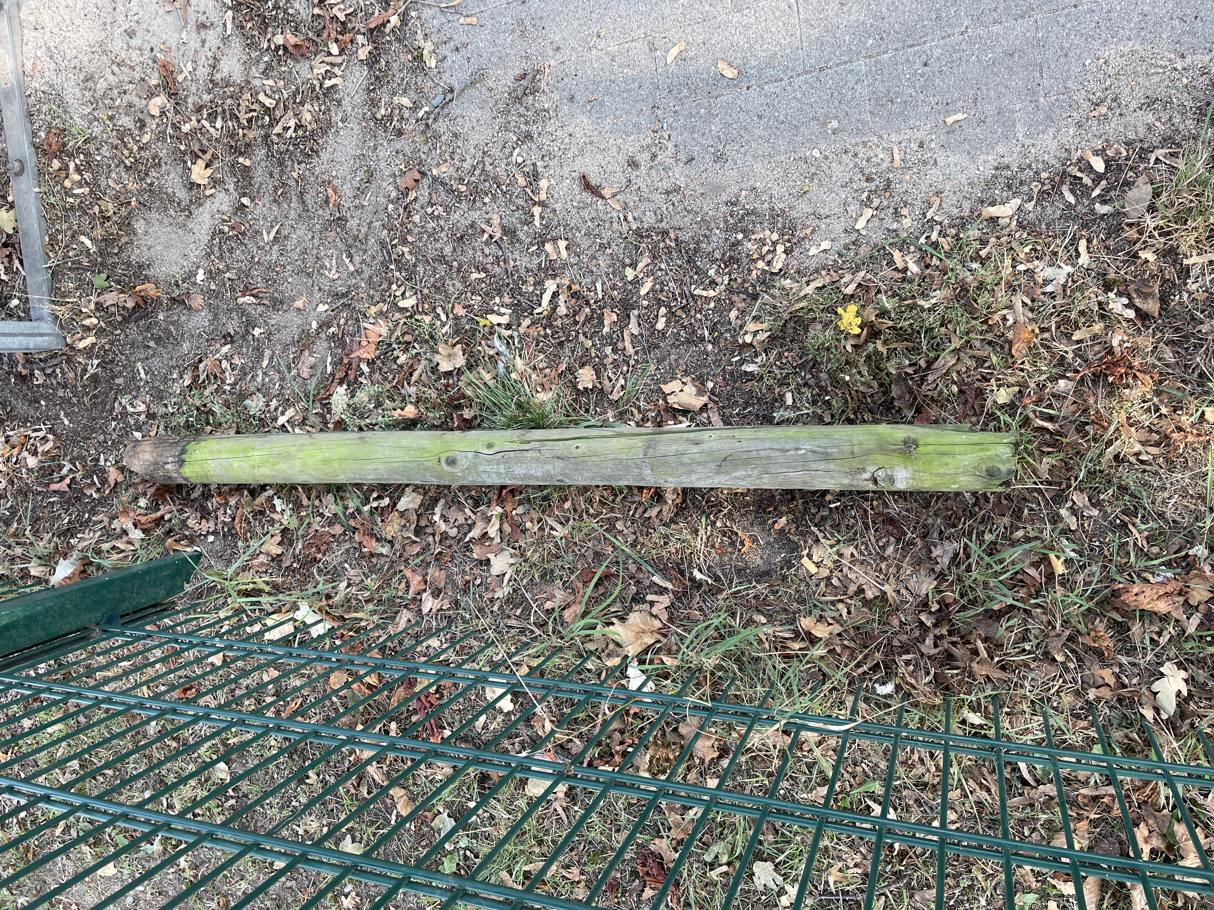 Open311 file from 2025-09-30 16:39:06