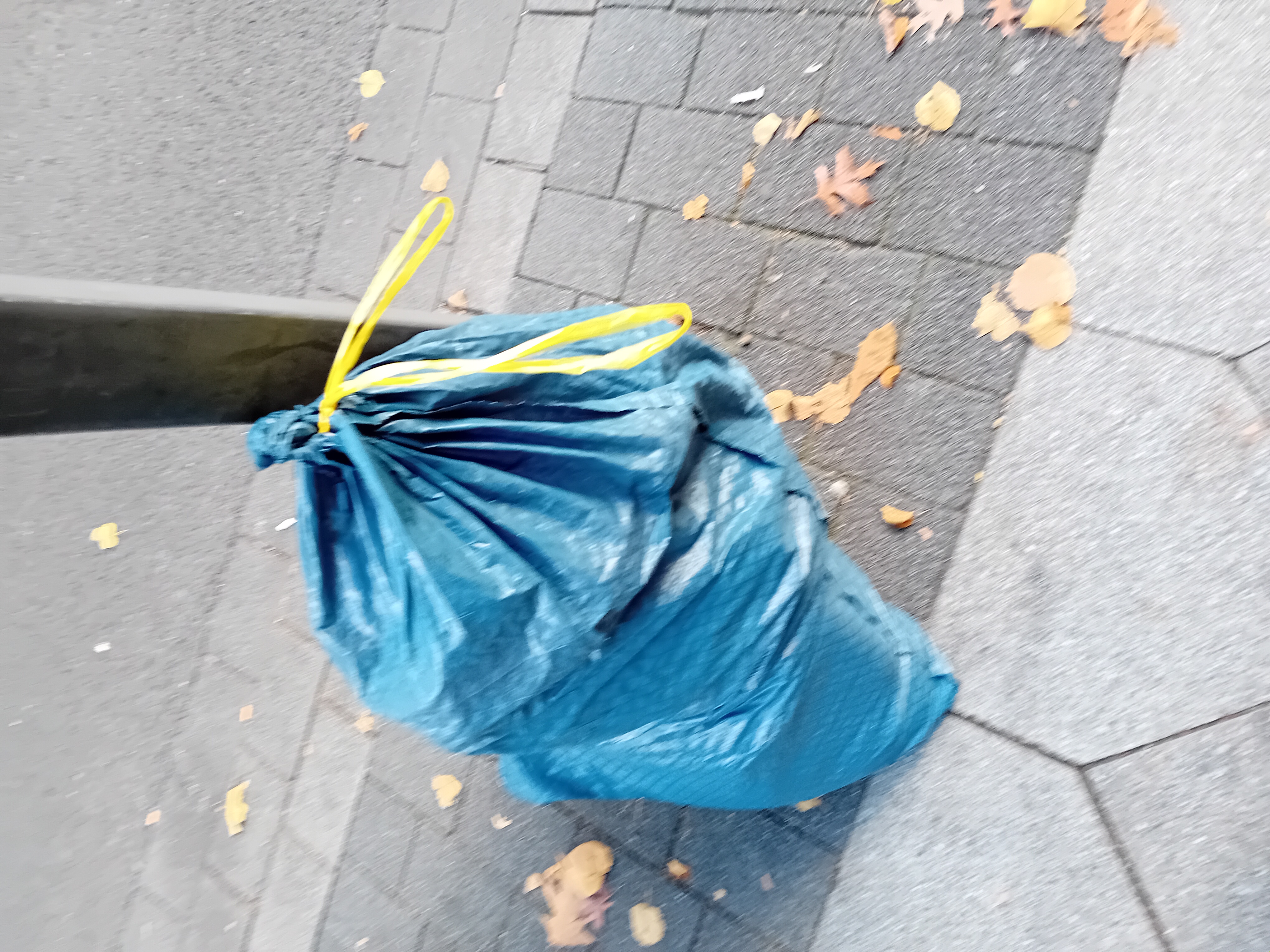 Open311 file from 2025-10-15 10:27:58