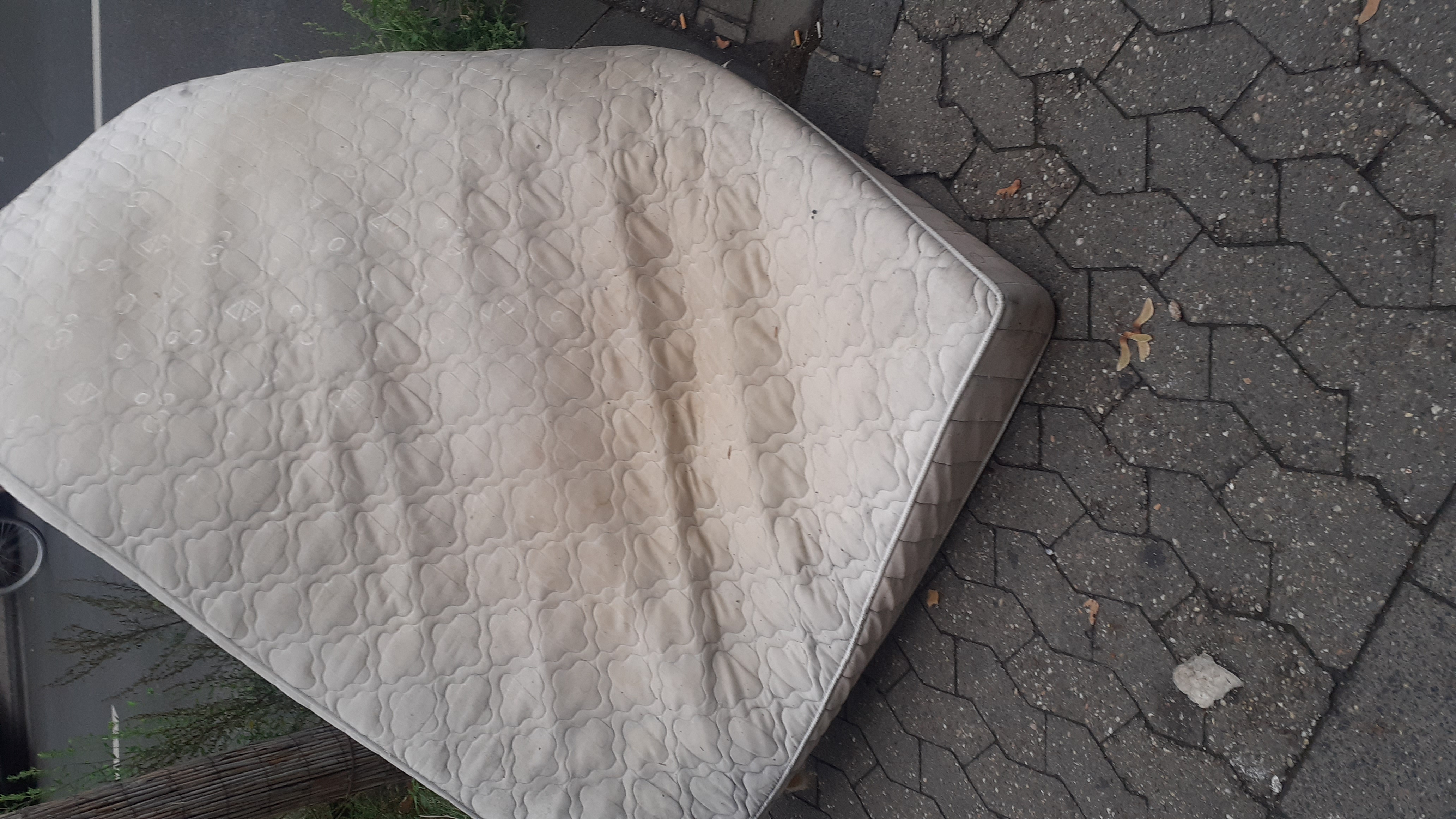 Open311 file from 2025-10-06 10:39:06