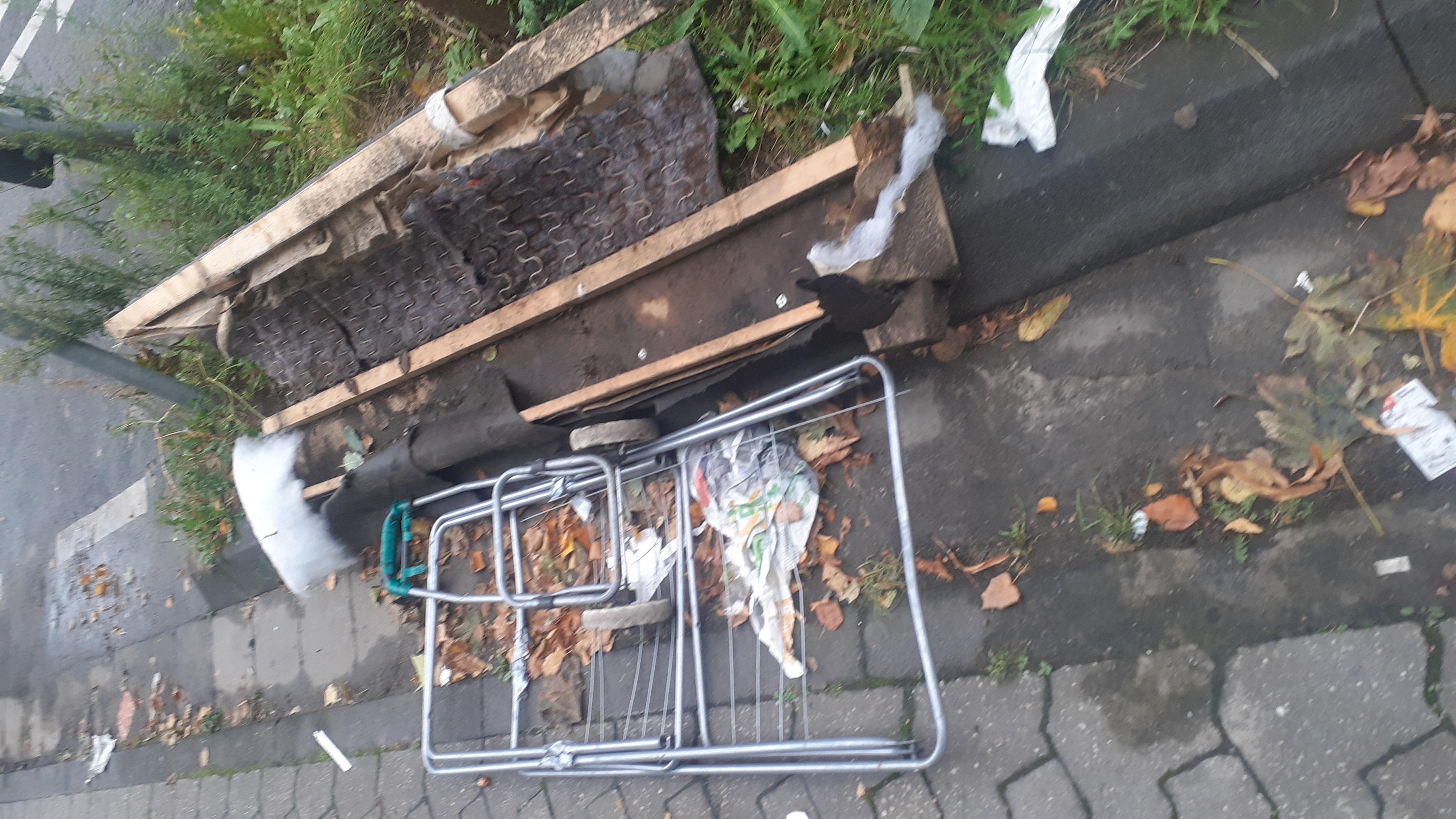 Open311 file from 2025-10-06 12:50:42