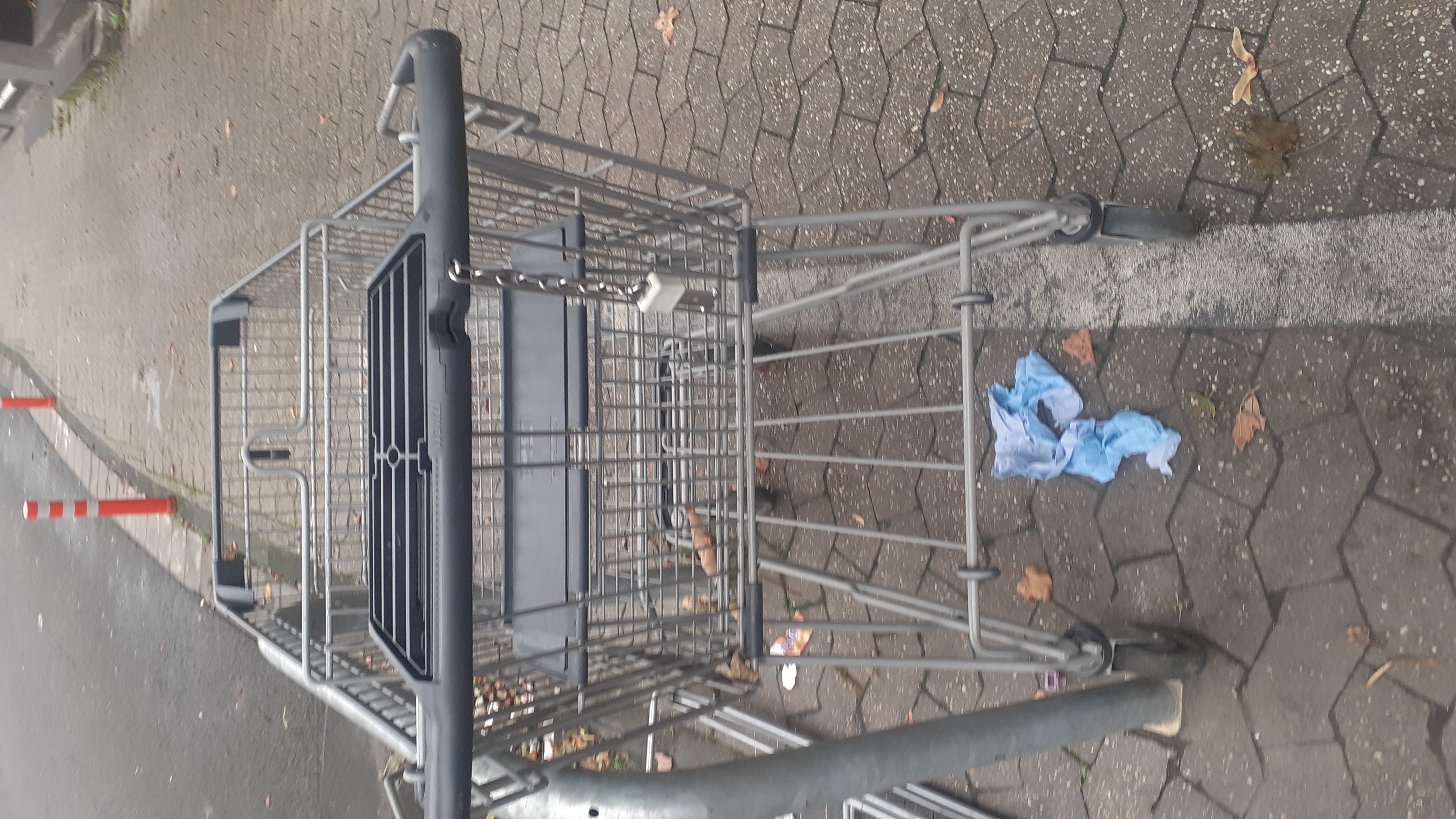 Open311 file from 2025-10-06 12:52:49