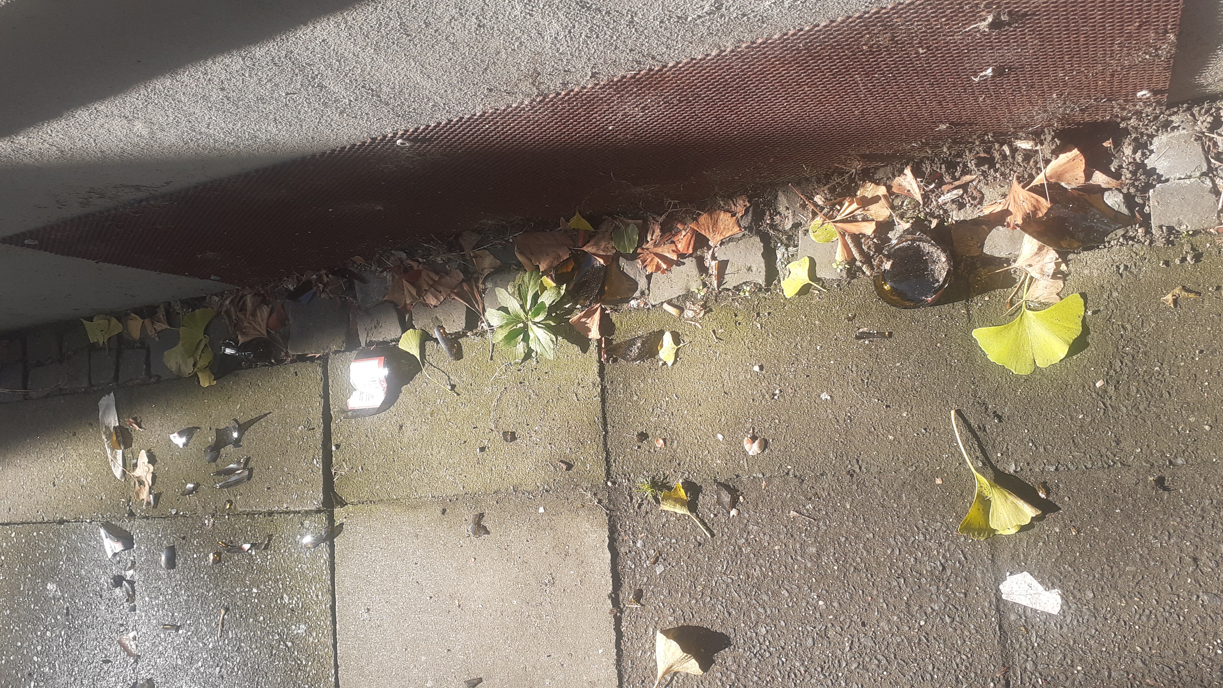 Open311 file from 2025-10-09 11:51:49