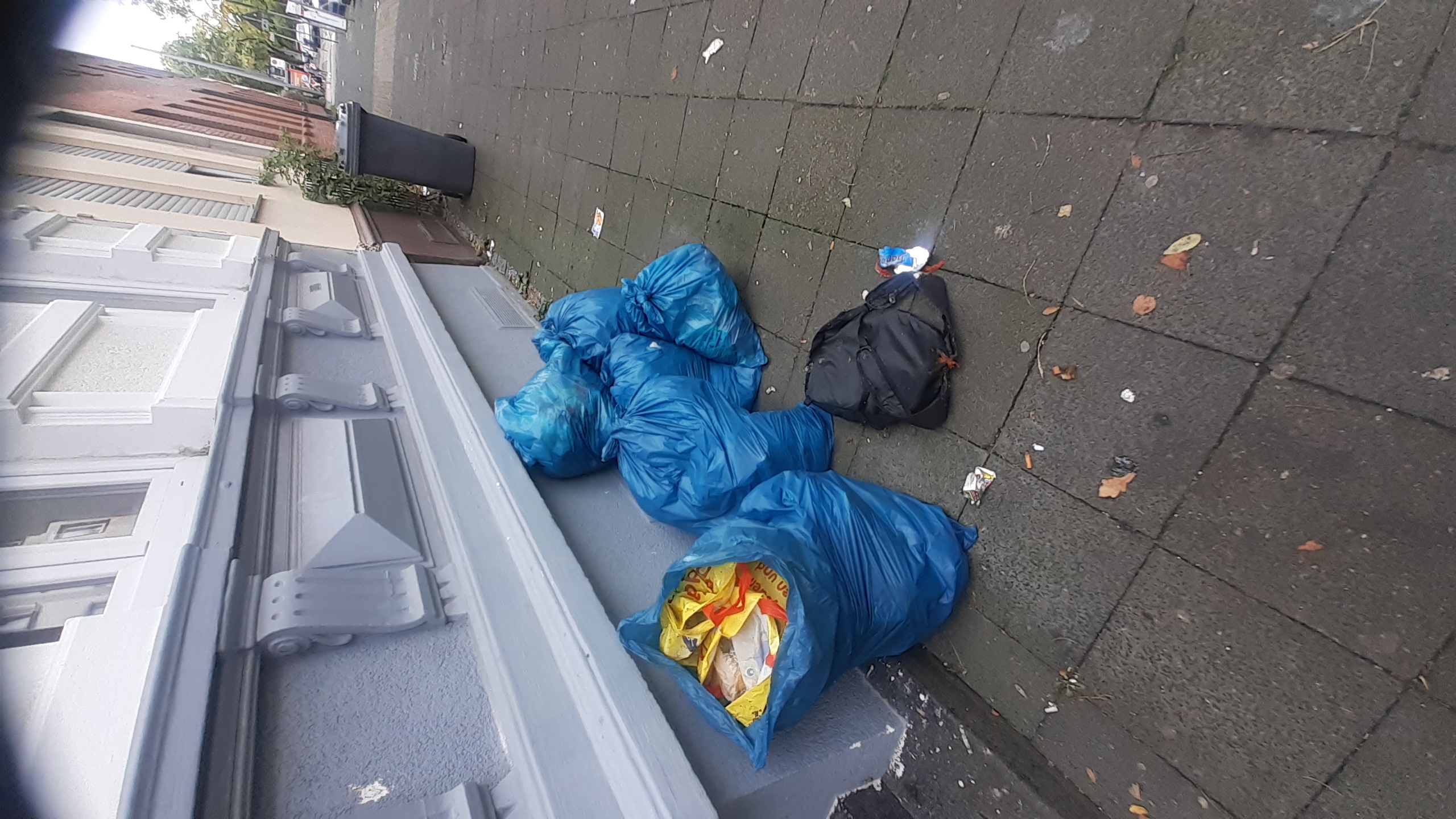 Open311 file from 2025-10-09 13:13:47