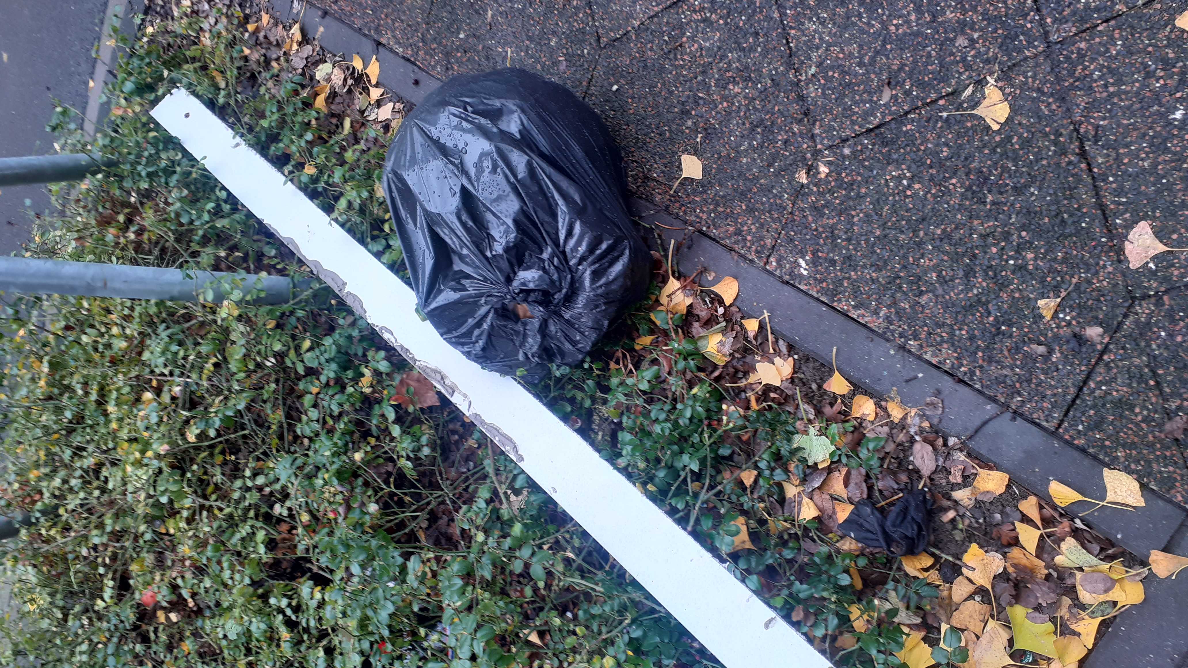 Open311 file from 2025-10-28 12:05:15