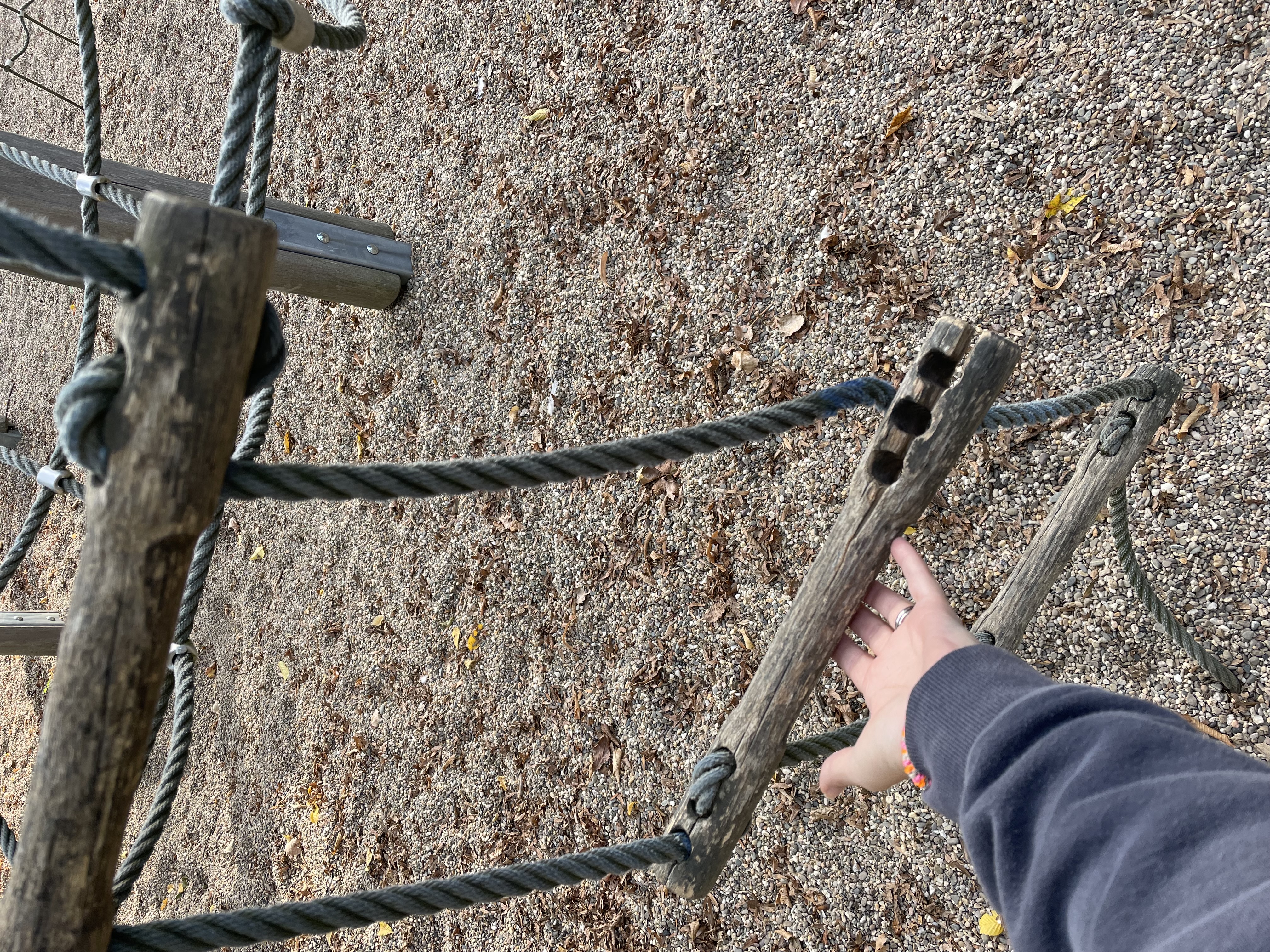 Open311 file from 2025-10-02 16:48:23