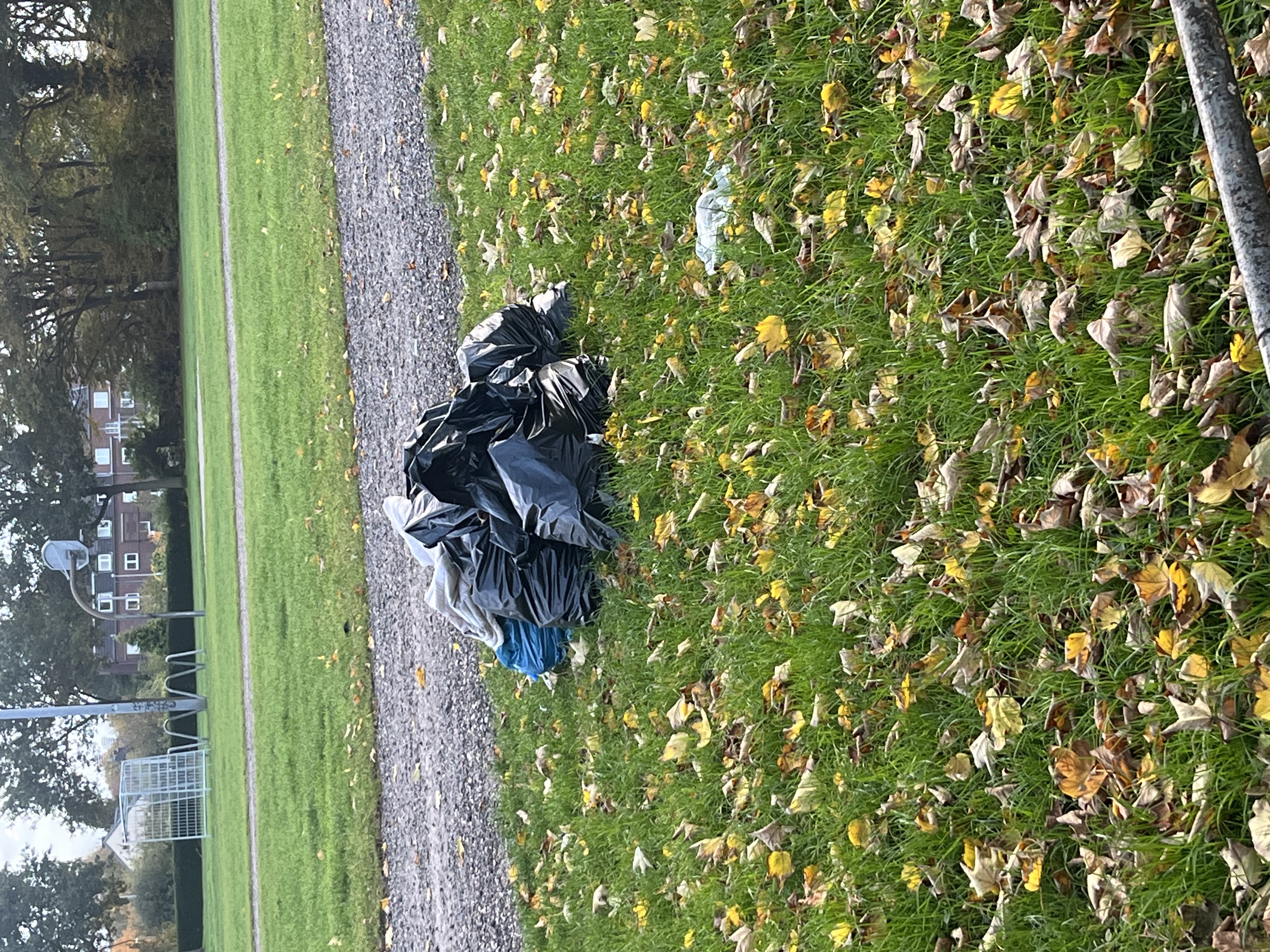 Open311 file from 2025-10-22 08:28:03