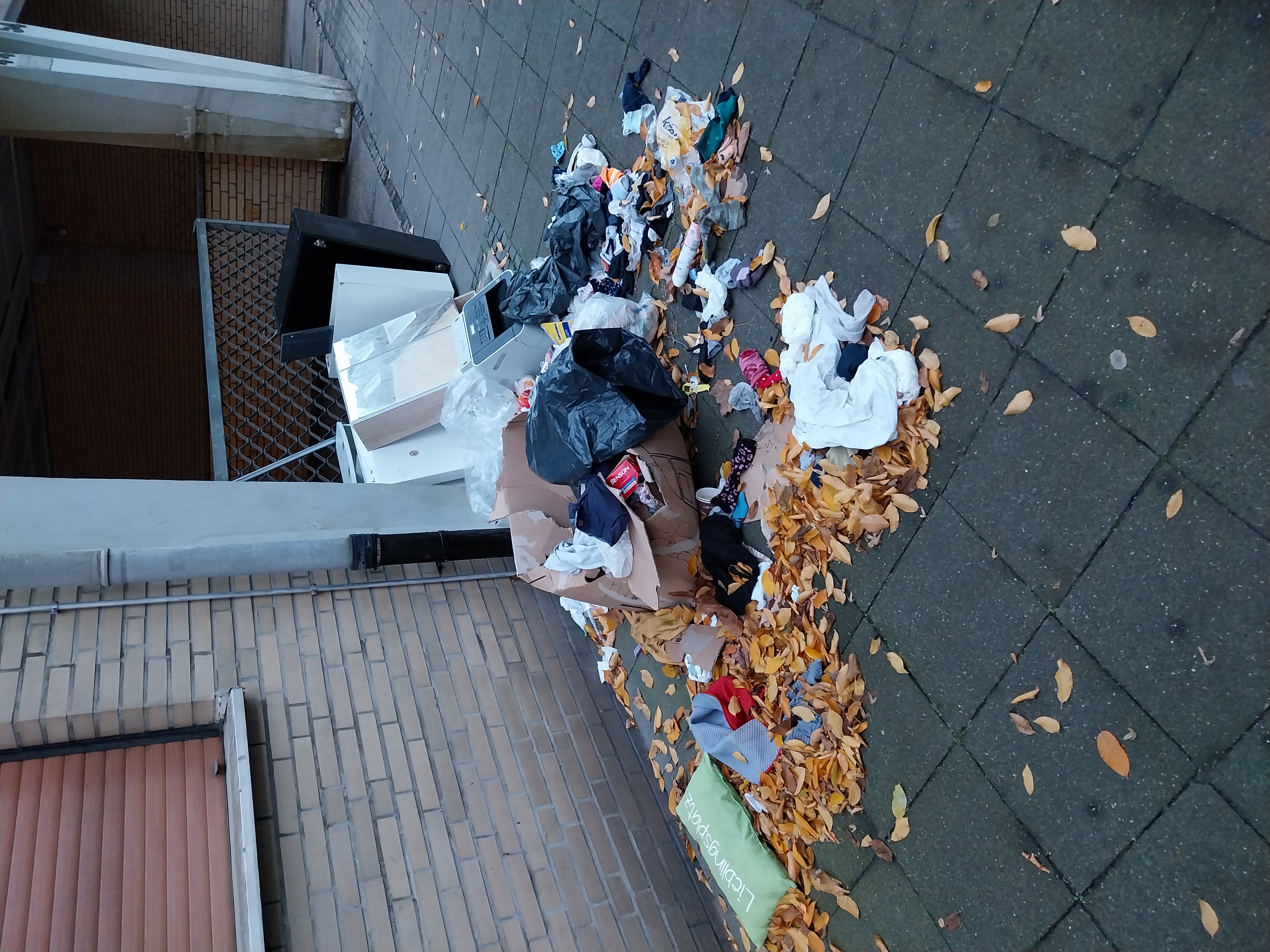 Open311 file from 2025-11-24 08:19:45