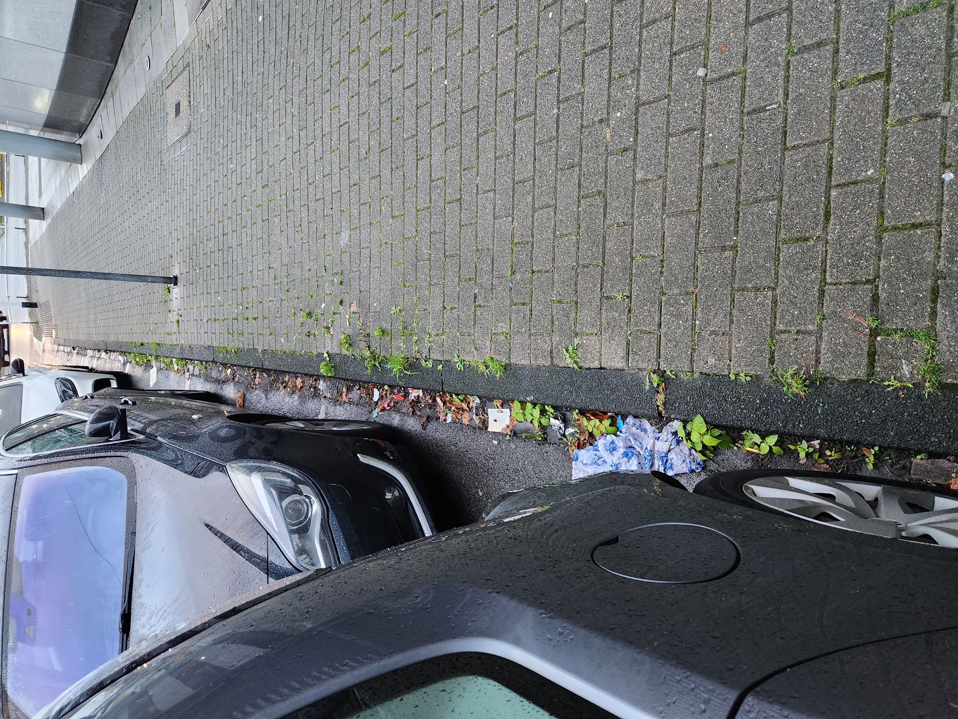 Open311 file from 2025-11-24 16:23:34