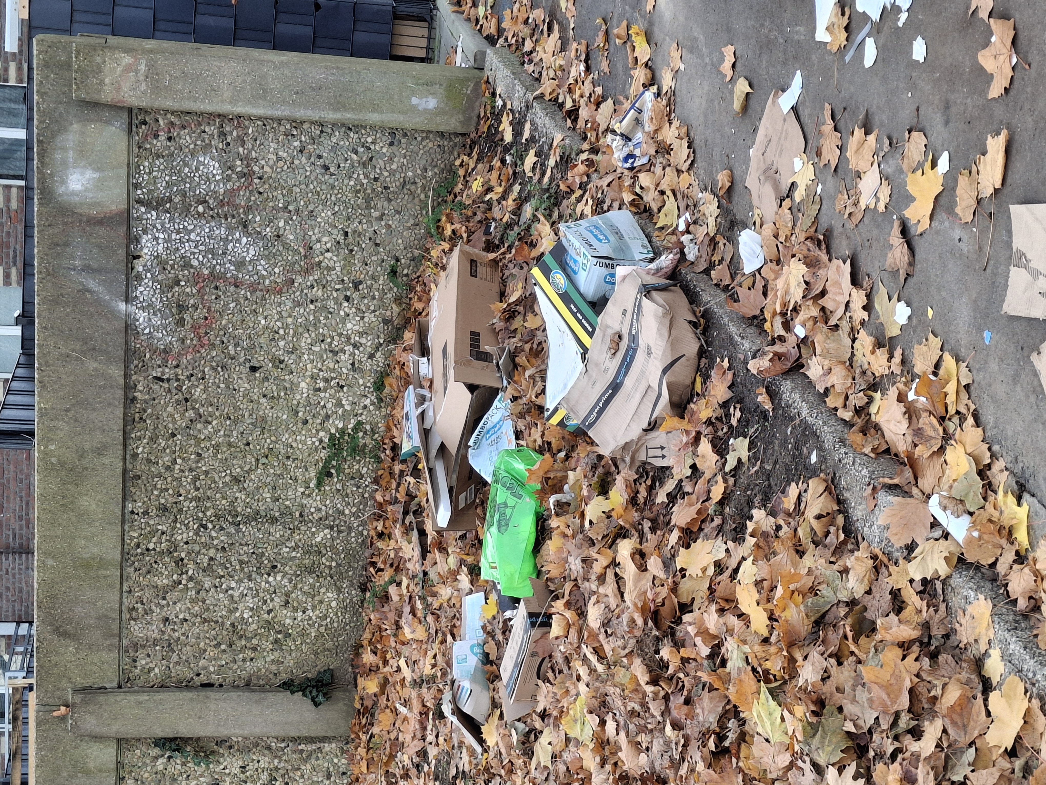 Open311 file from 2025-11-12 13:28:14