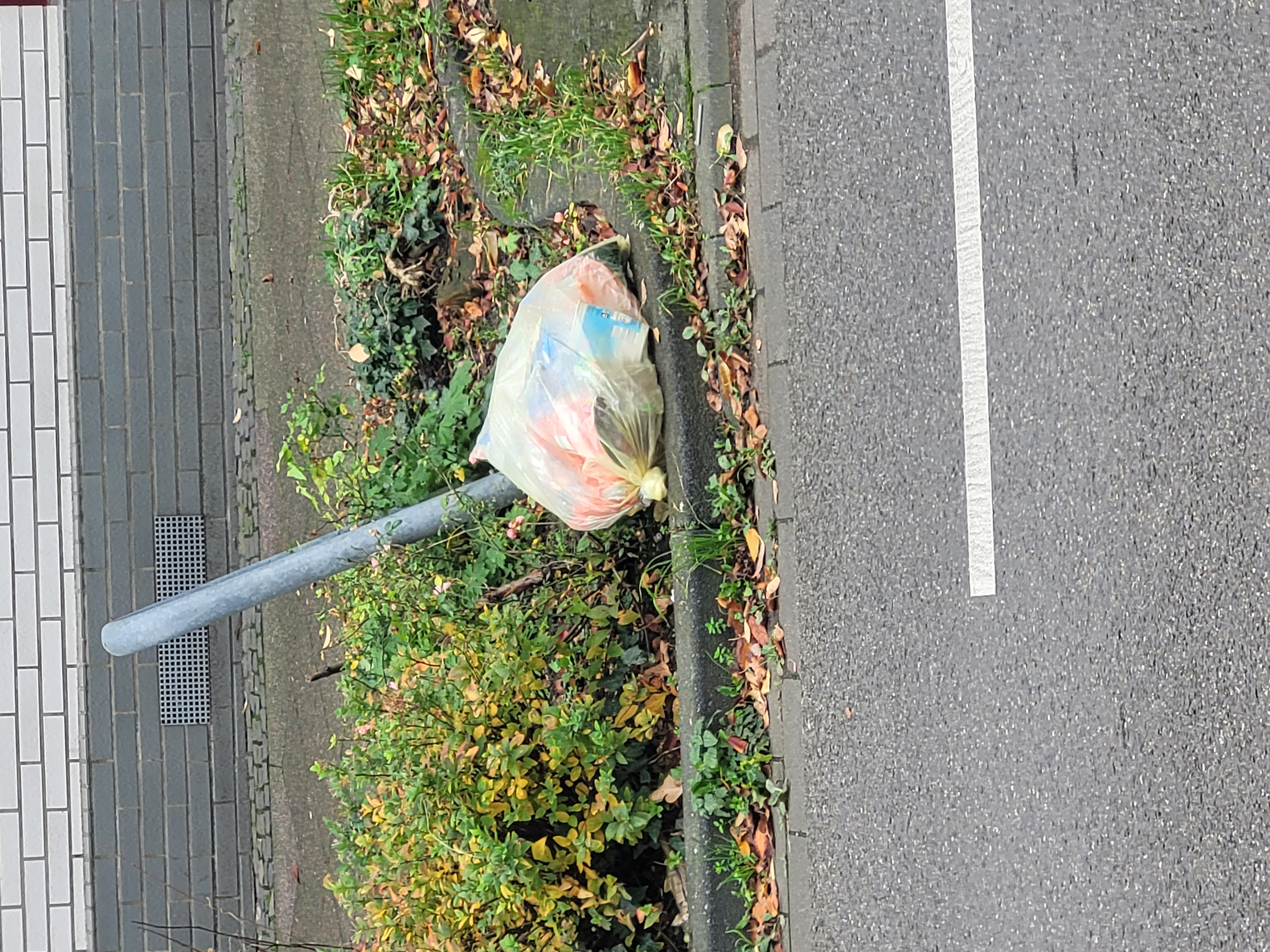 Open311 file from 2025-11-03 14:57:21