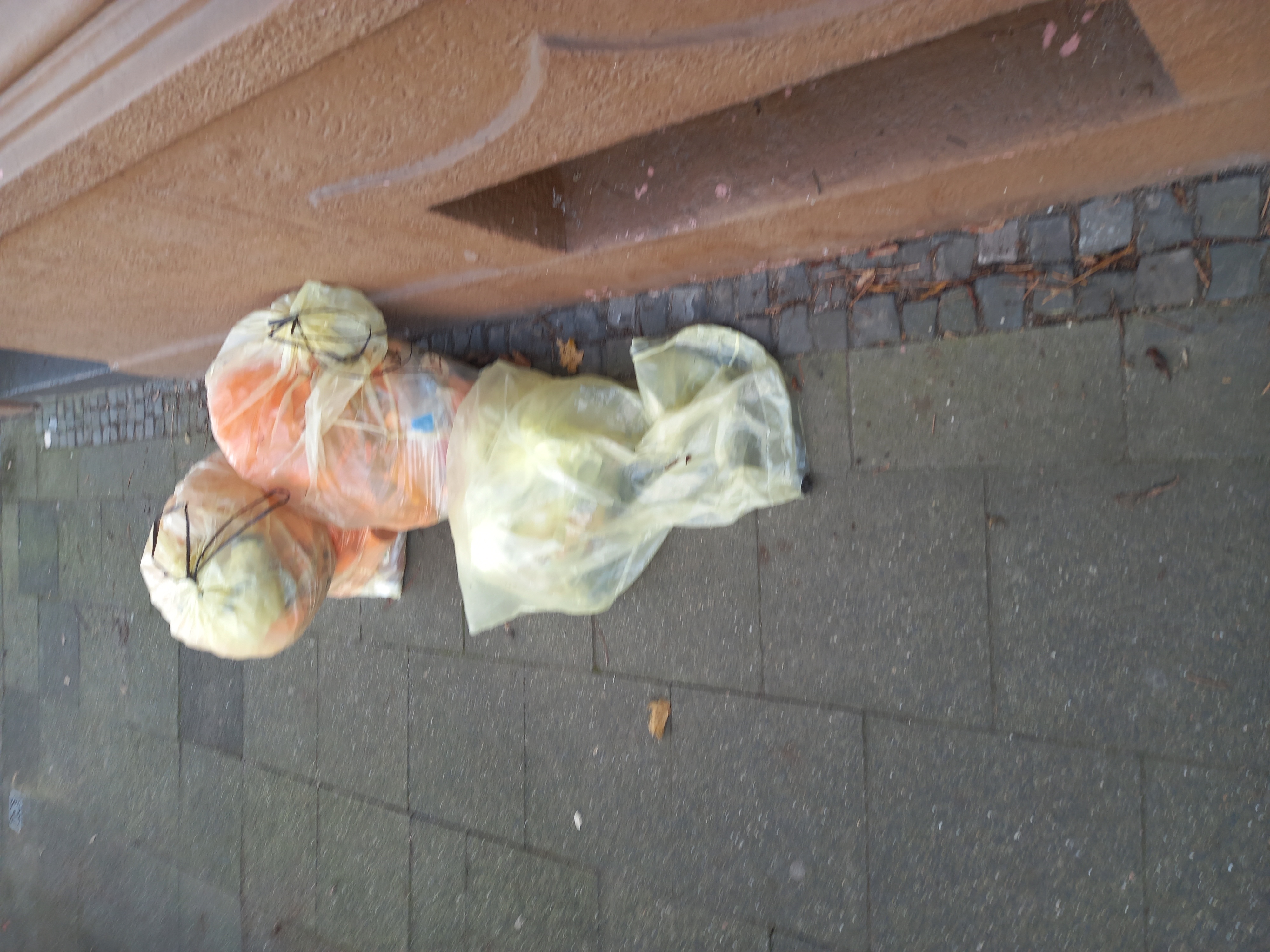 Open311 file from 2025-11-13 13:27:19