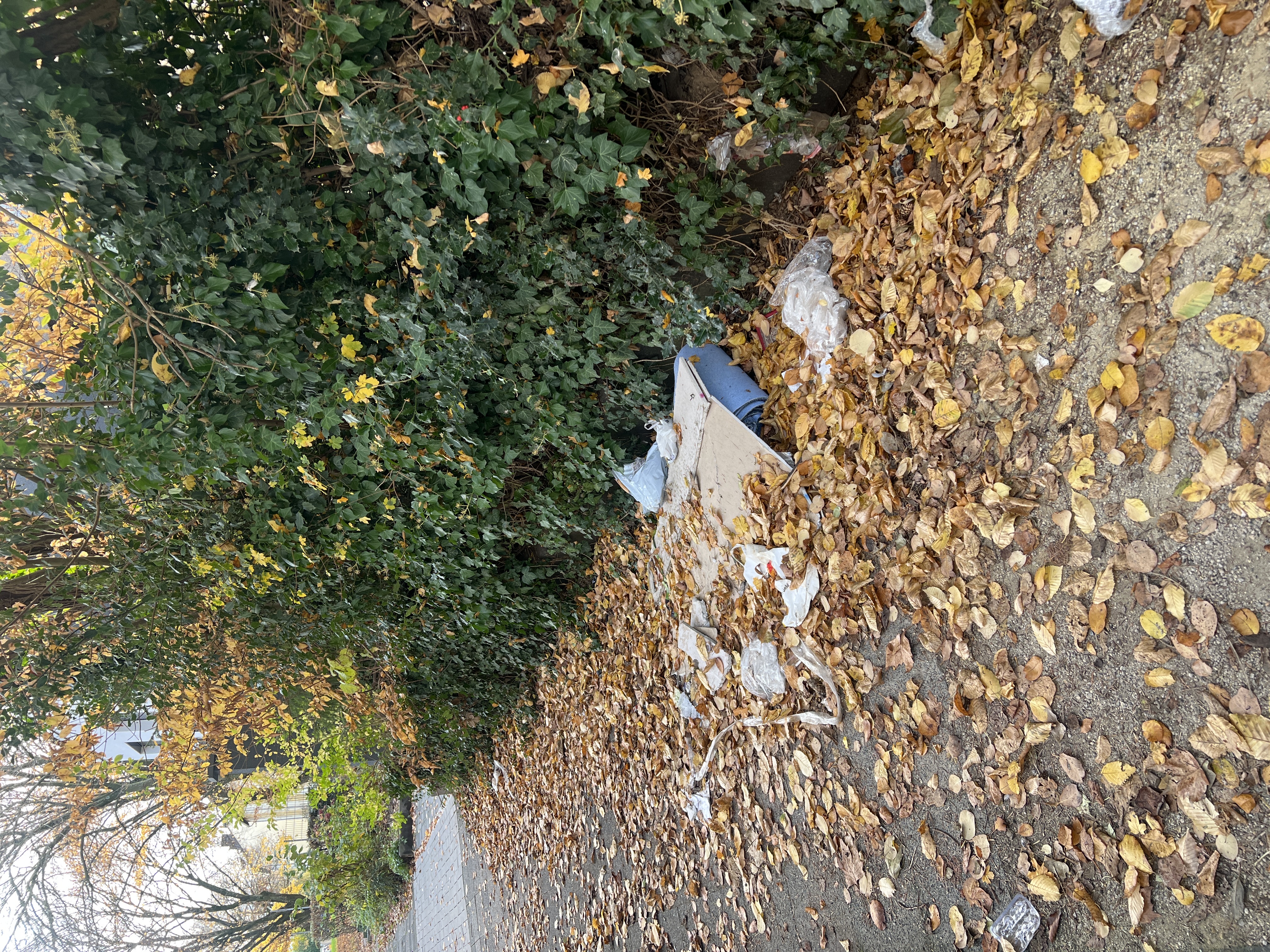 Open311 file from 2025-11-12 13:02:07