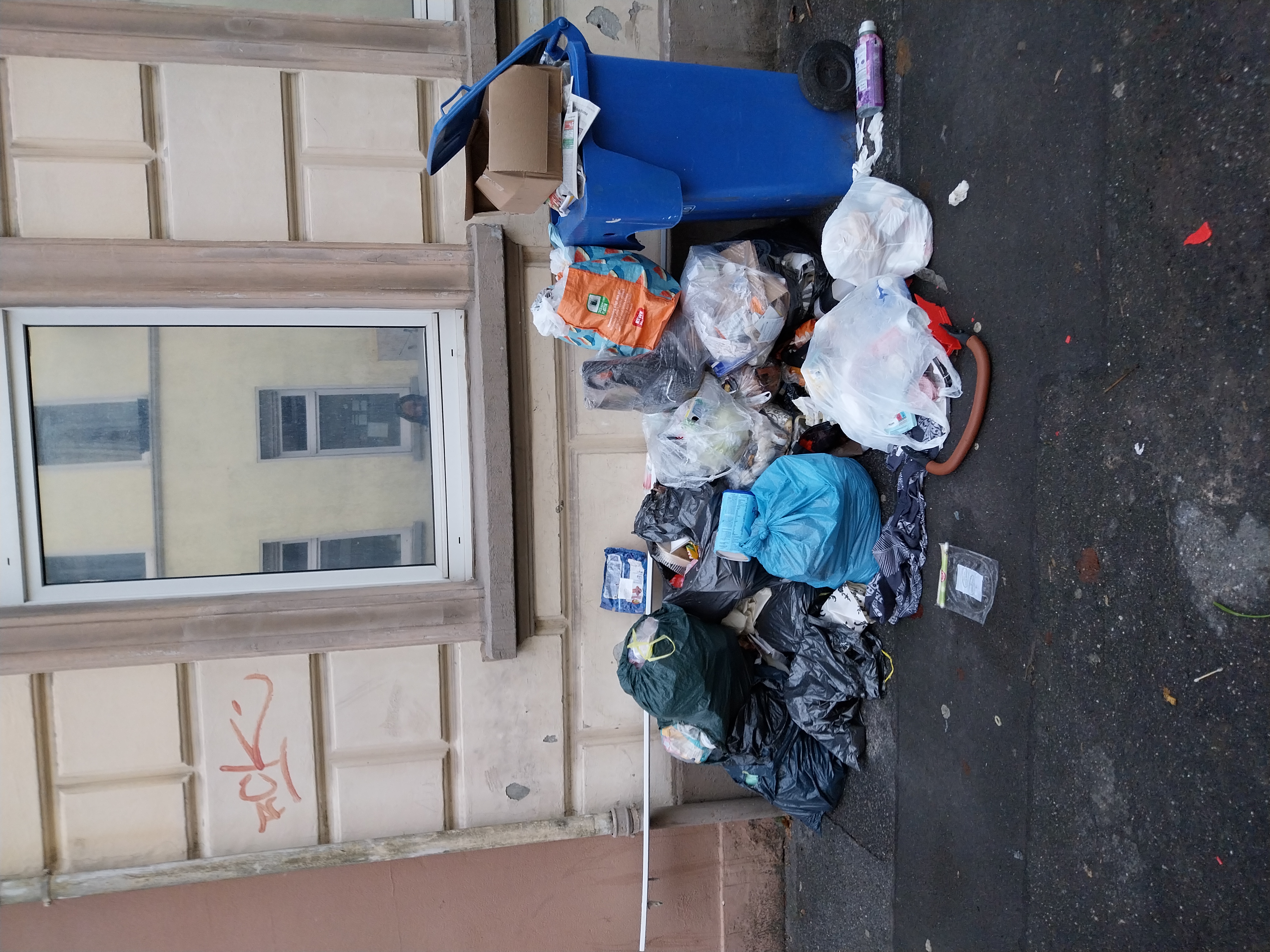 Open311 file from 2025-12-04 08:52:29