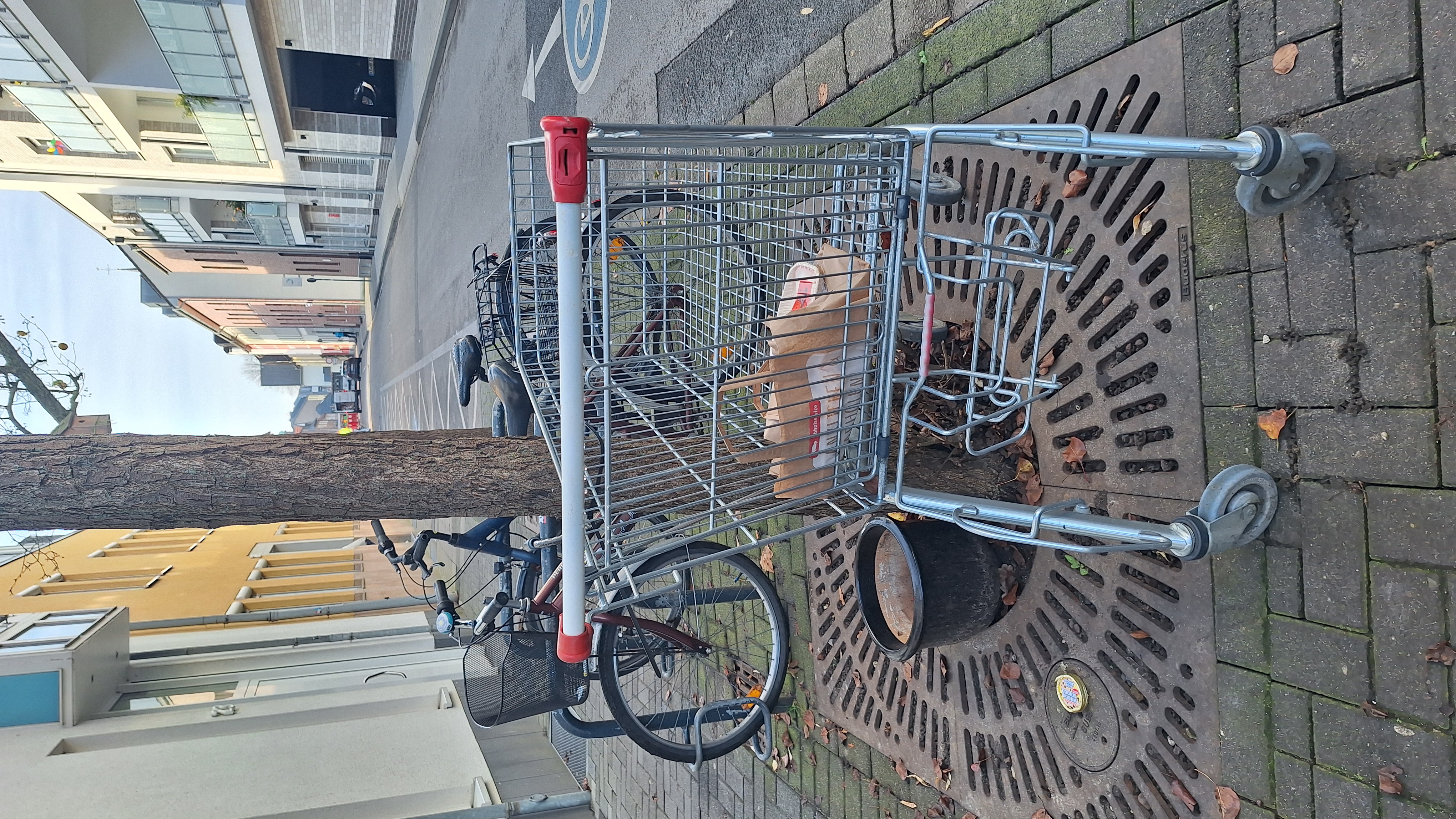 Open311 file from 2025-12-04 11:46:22