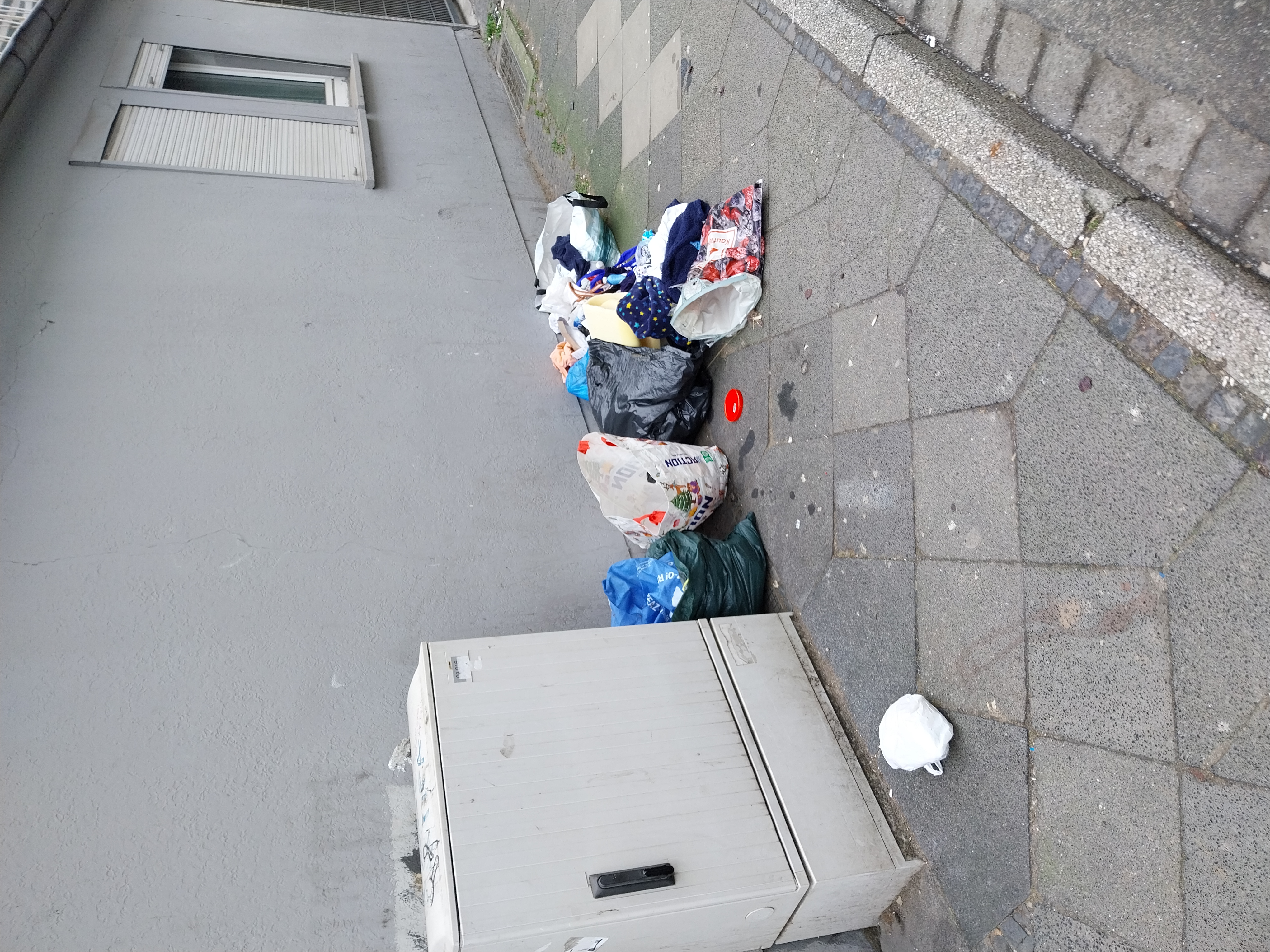 Open311 file from 2026-01-26 11:49:10