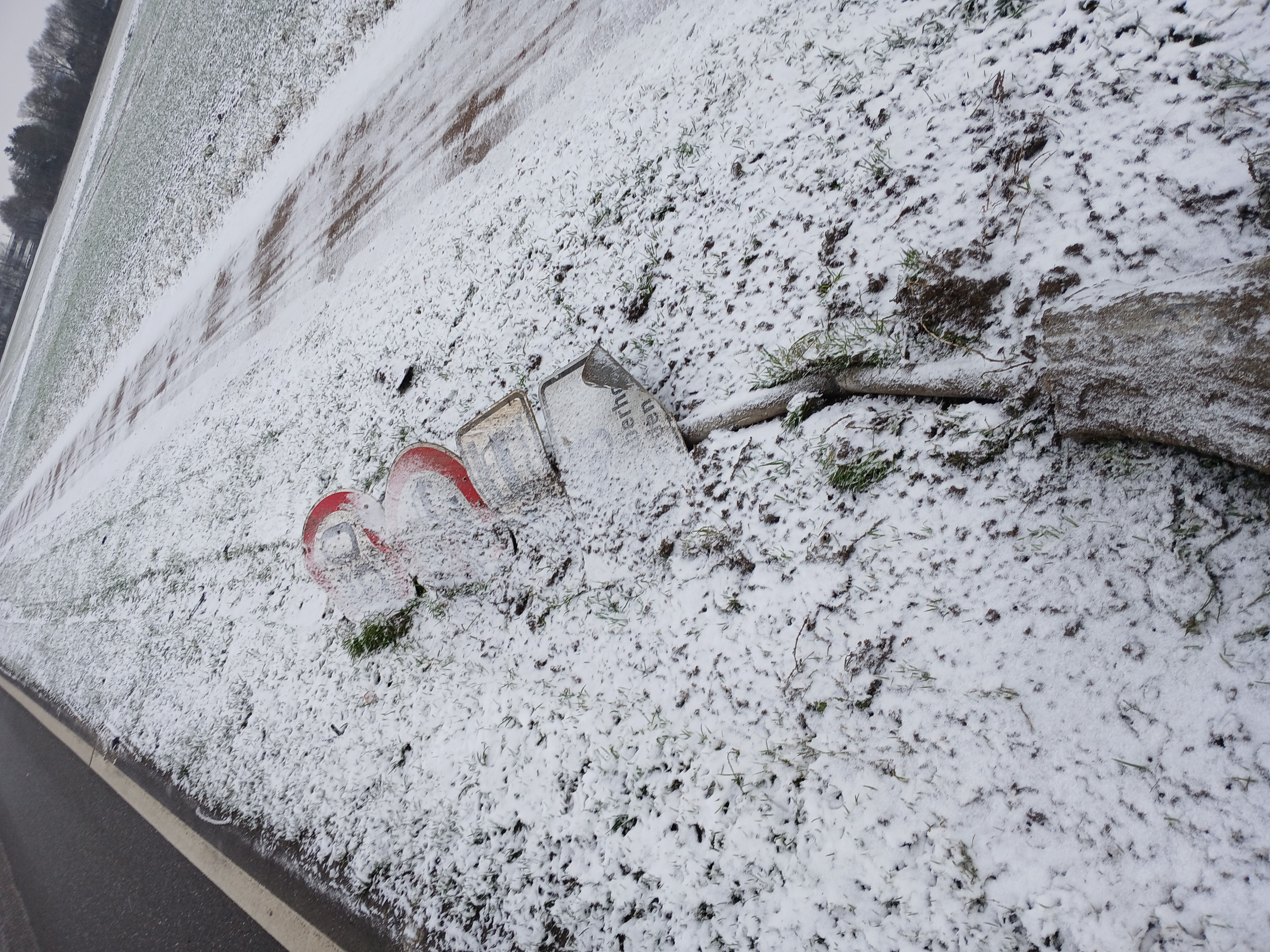 Open311 file from 2026-01-10 11:39:13