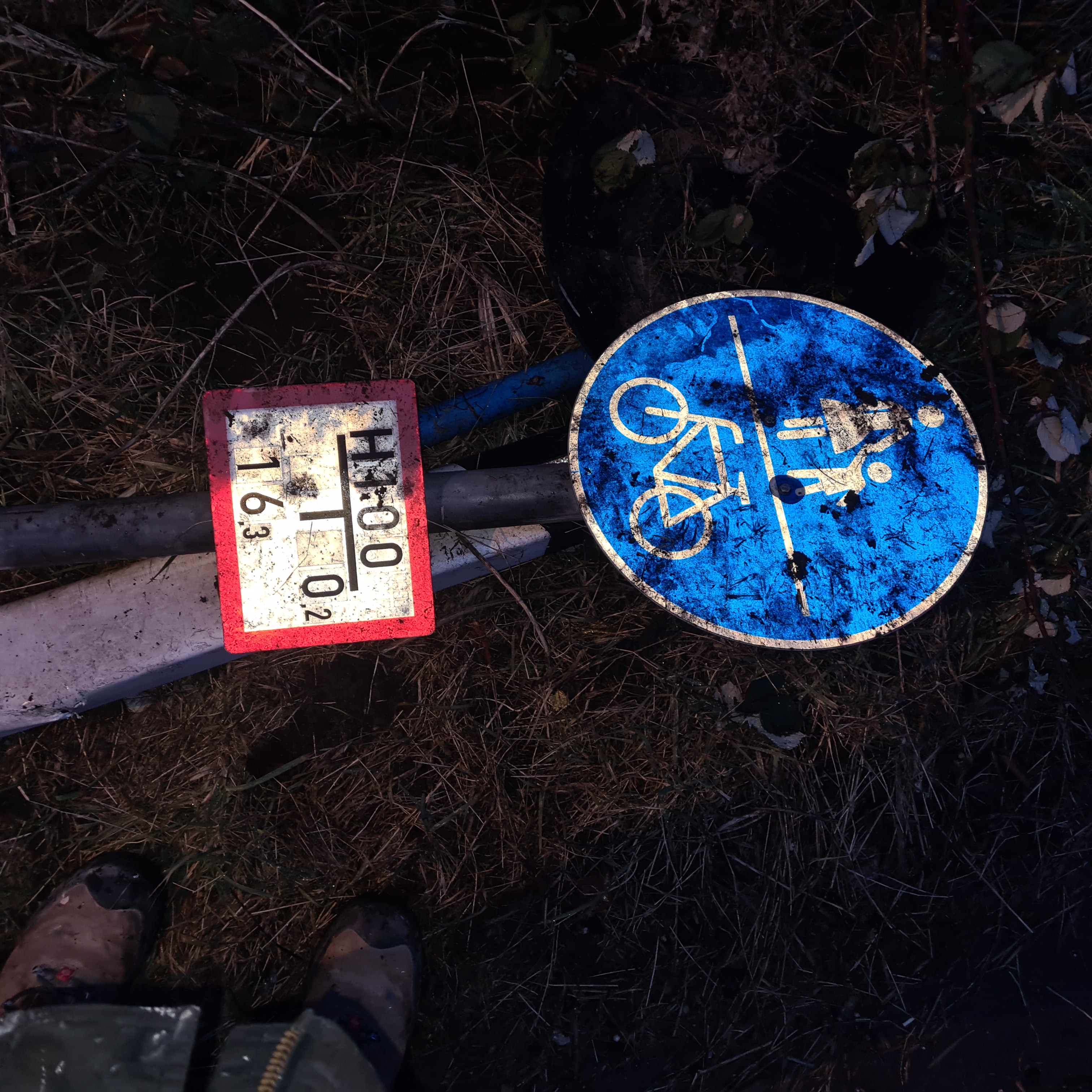 Open311 file from 2026-01-27 14:45:16