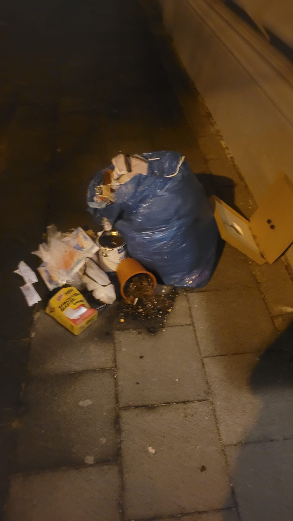 Open311 file from 2026-01-29 20:31:50