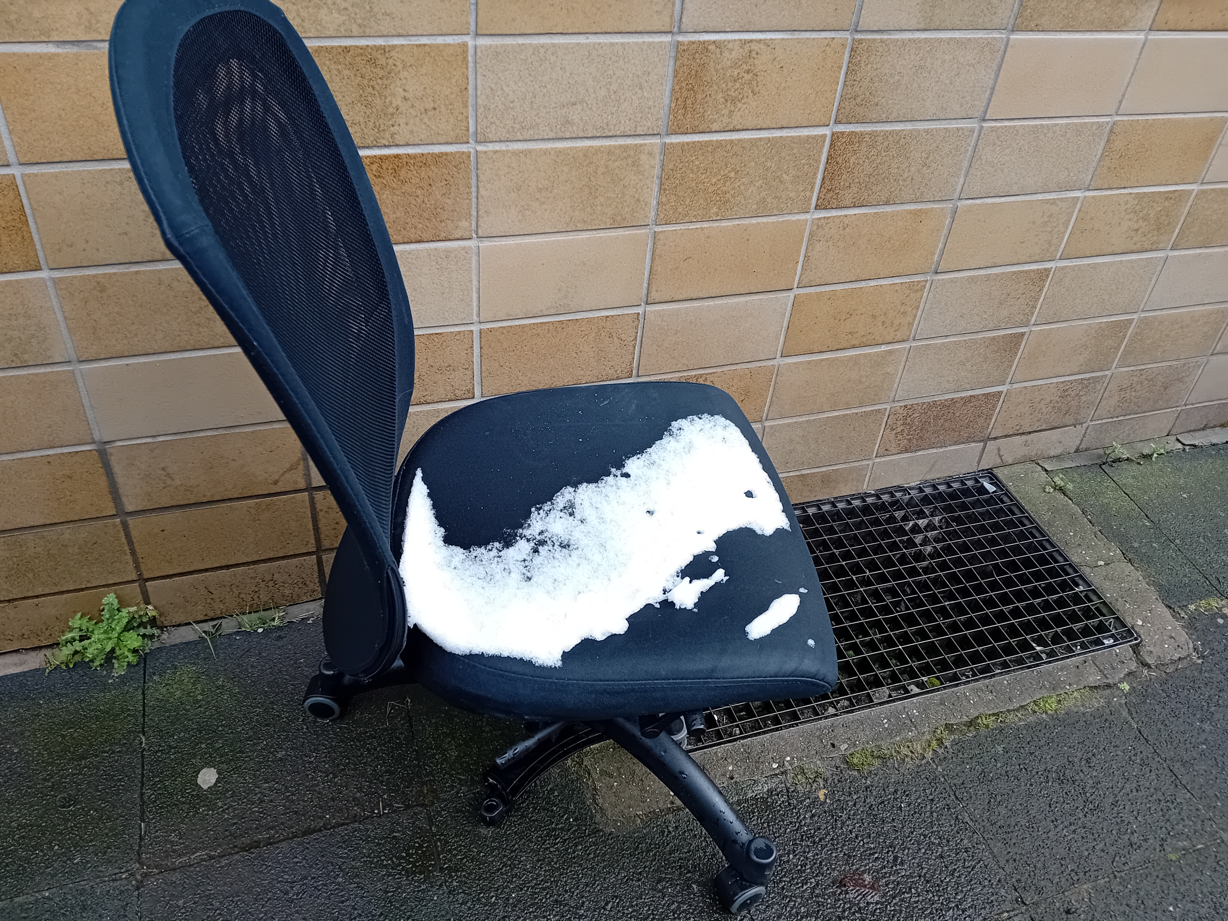 Open311 file from 2026-02-19 14:05:02