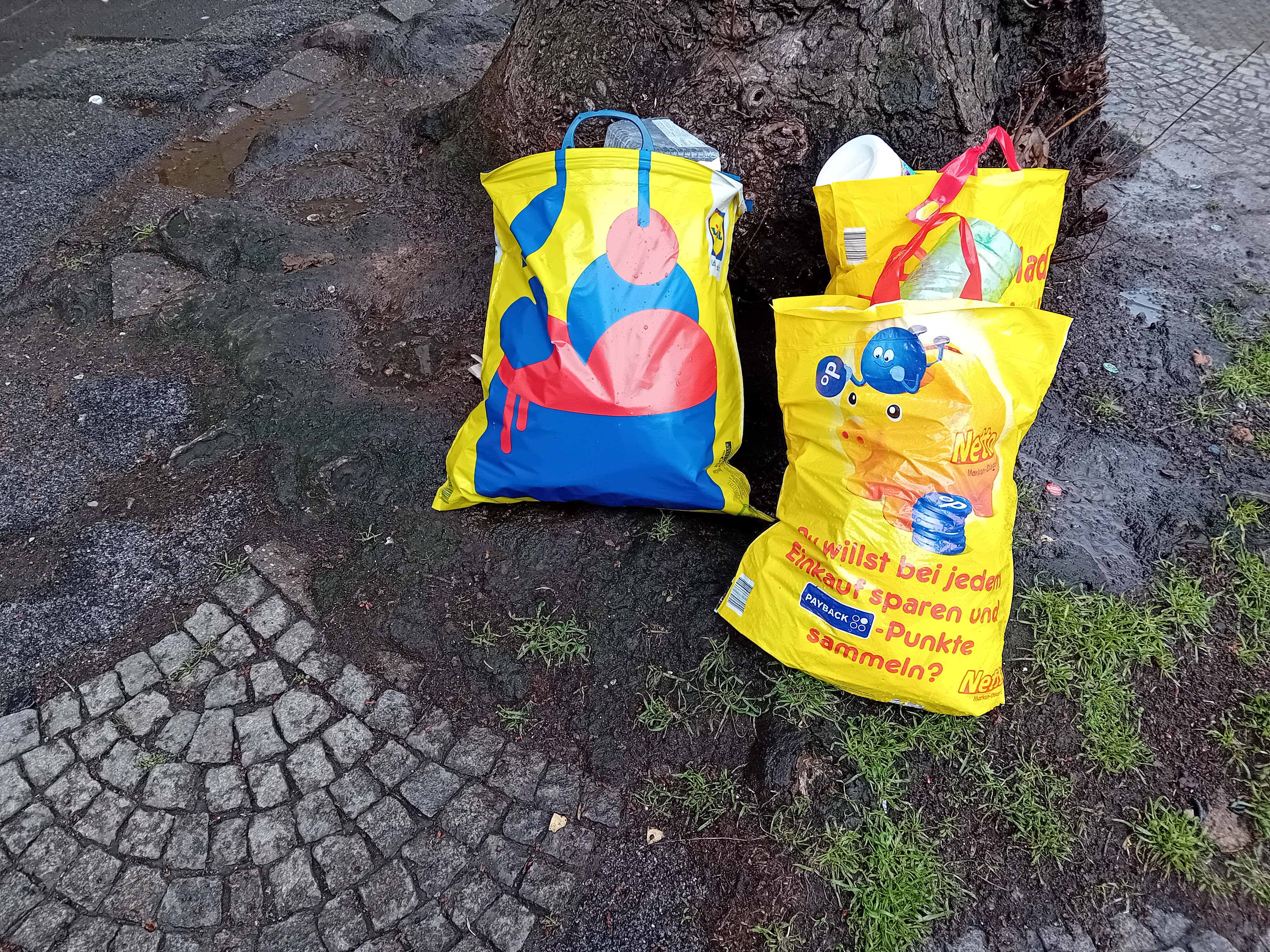 Open311 file from 2026-02-19 15:13:50