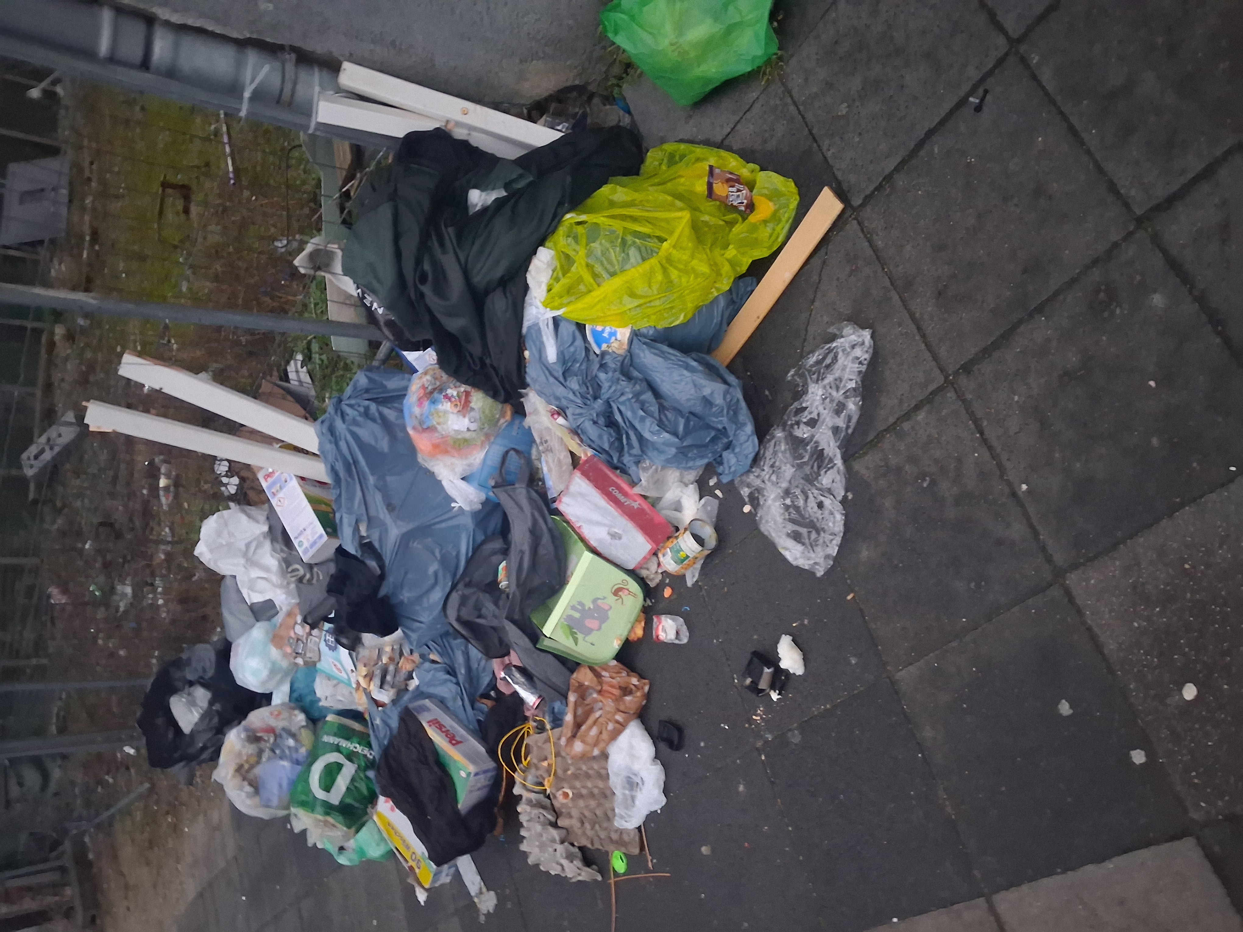 Open311 file from 2026-02-23 07:25:33