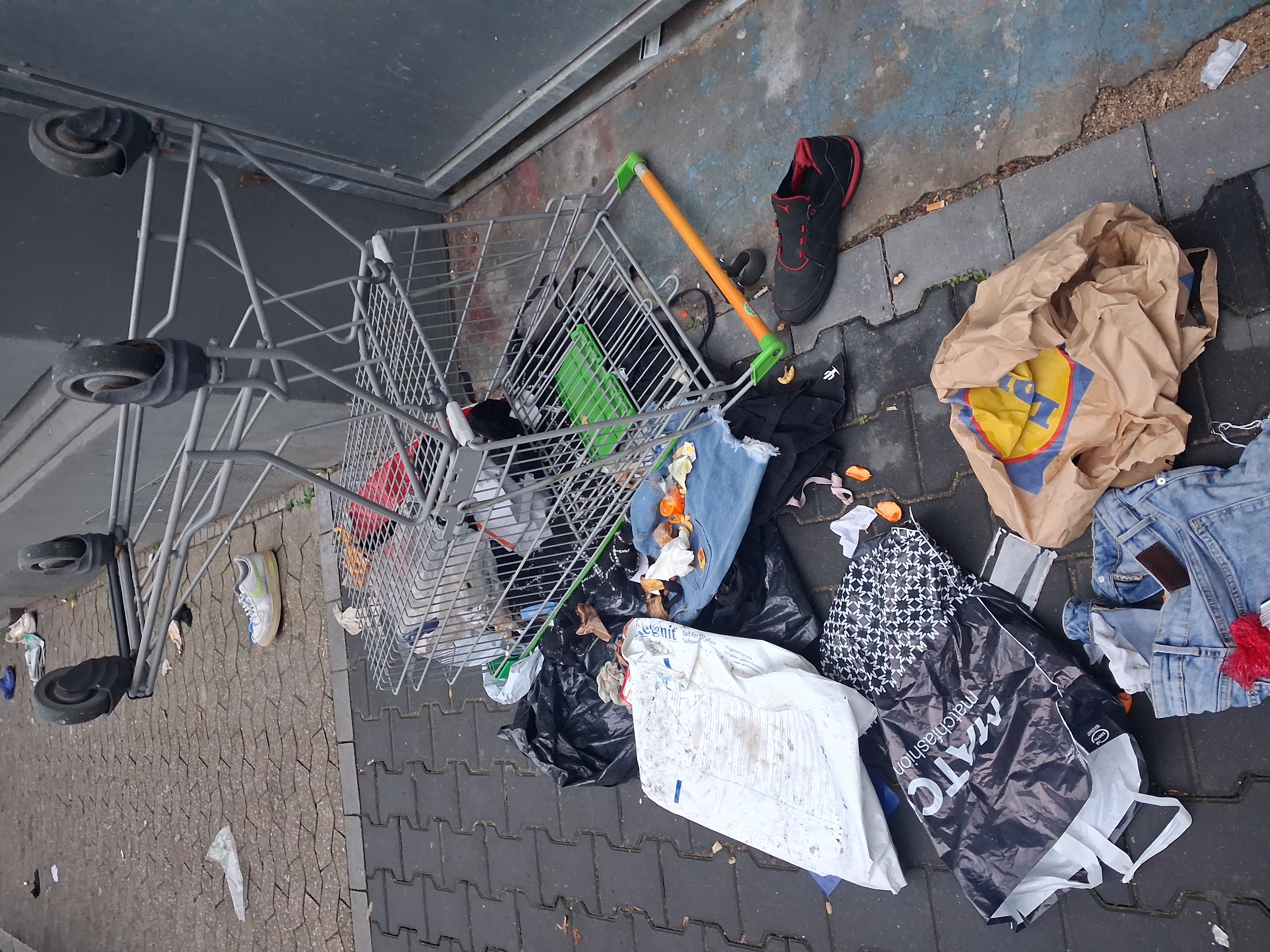 Open311 file from 2026-02-23 07:57:34