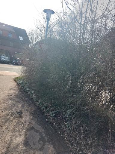 zugewachsenes Verkehrsschild an der Bergstiege Ecke Moerser Landstr.