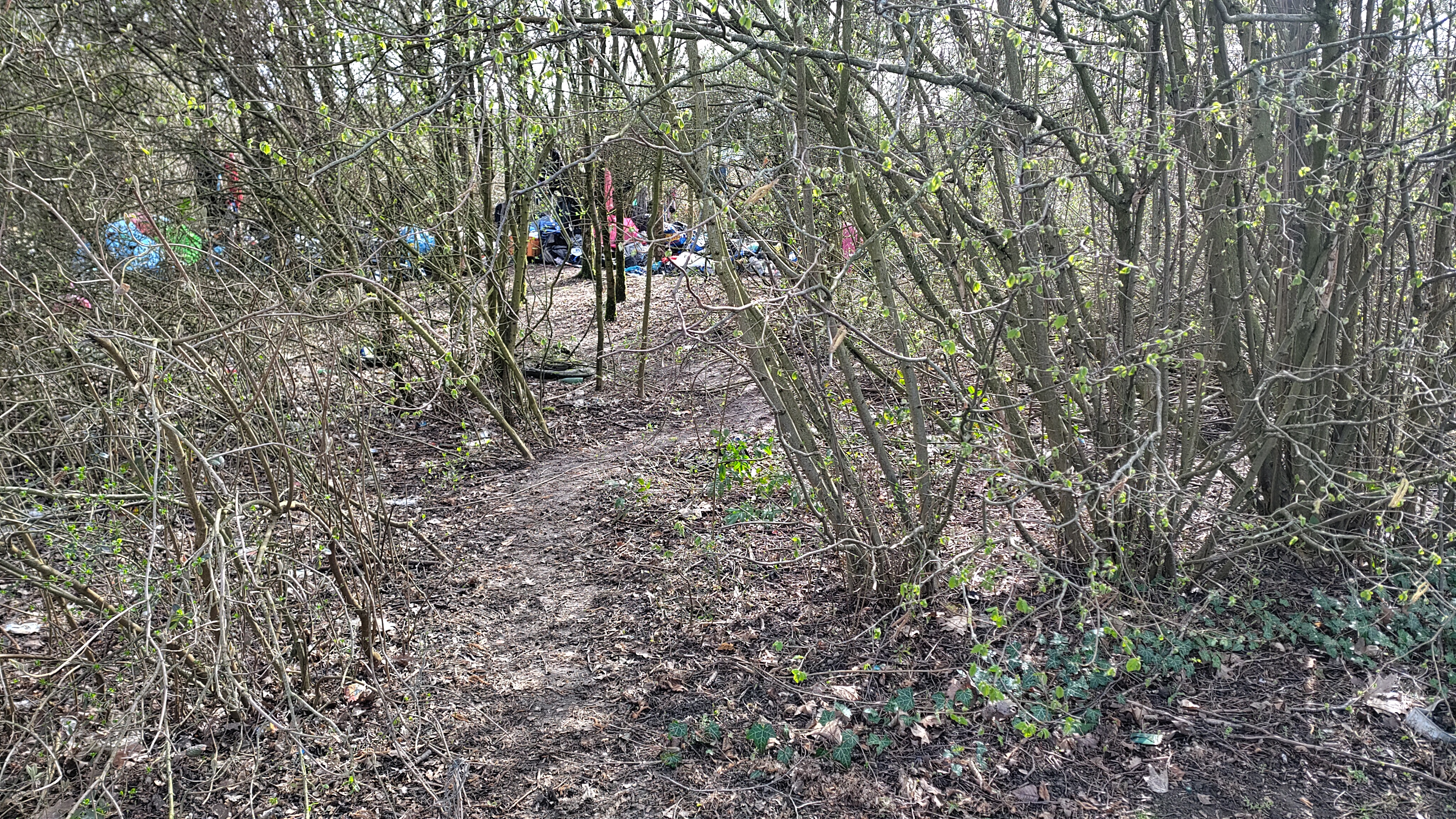 Open311 file from 2026-03-12 12:06:08