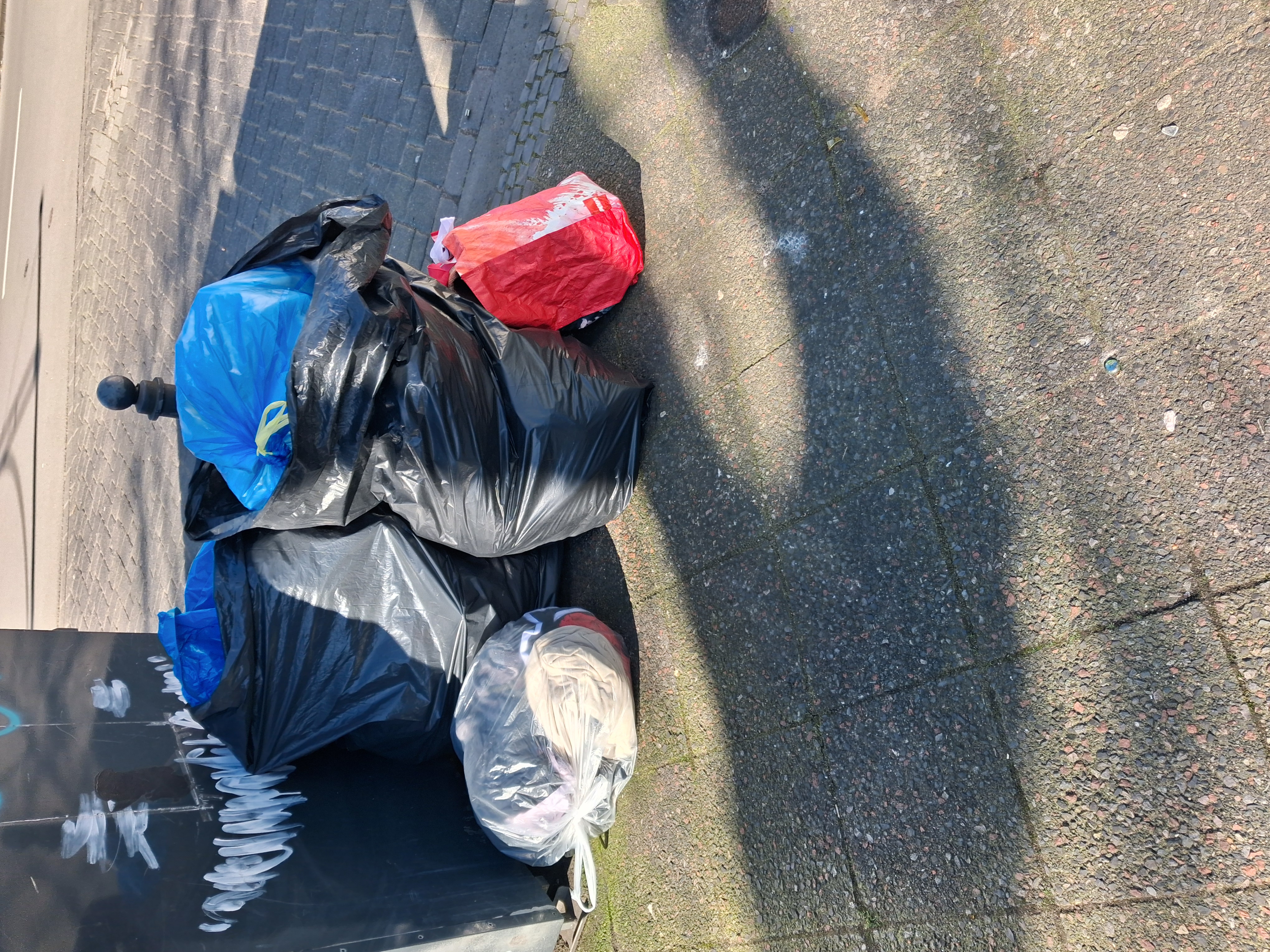 Open311 file from 2026-03-02 13:12:19