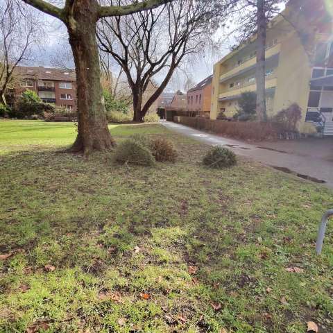 Open311 file from 2026-02-17 20:17:35