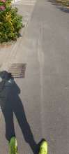 Open311 file from 2022-08-31 15:10:41
