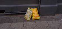 Open311 file from 2022-09-01 11:22:09