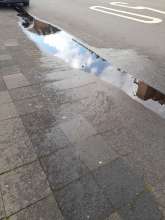 Open311 file from 2023-04-12 07:14:28