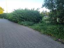 Open311 file from 2025-05-13 07:47:31