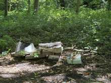 Open311 file from 2025-07-04 13:54:20