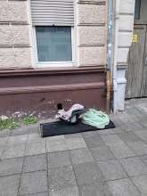 Open311 file from 2025-09-11 08:18:16