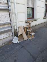 Open311 file from 2025-09-23 11:38:02