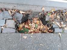 Open311 file from 2025-09-16 10:36:37