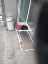 Open311 file from 2025-09-25 13:41:57